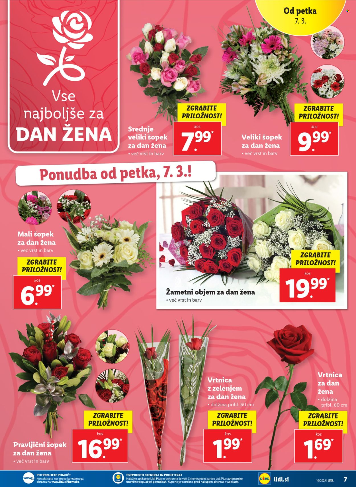 Lidl katalog - 6.3.2025 - 12.3.2025. Stran 7