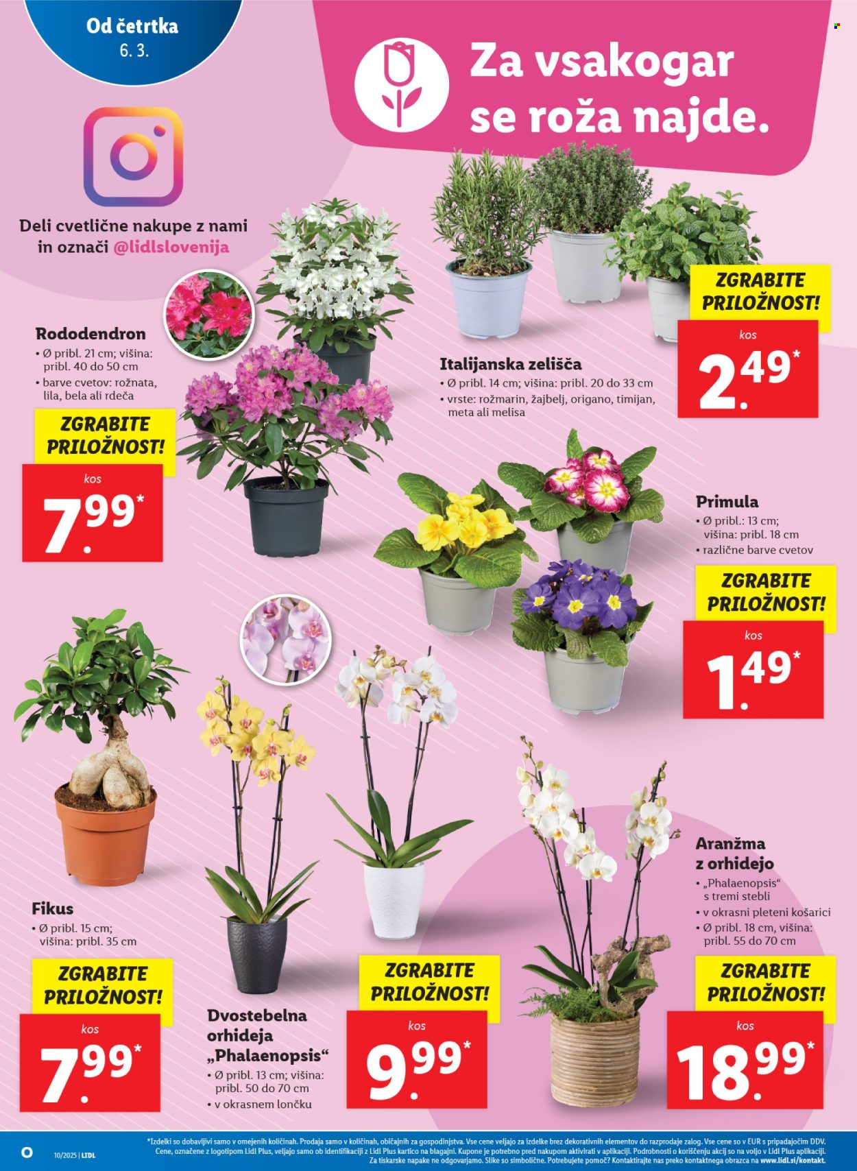 Lidl katalog - 6.3.2025 - 12.3.2025. Stran 10