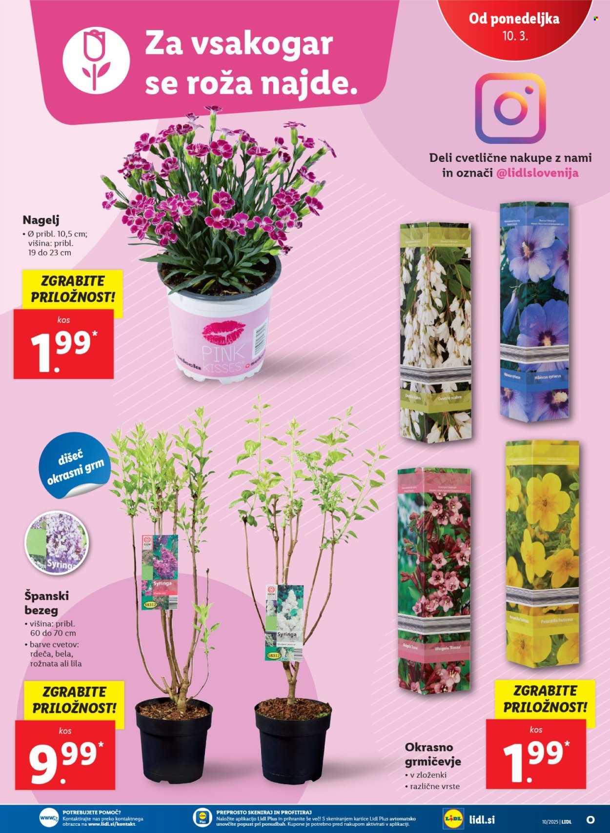 Lidl katalog - 6.3.2025 - 12.3.2025. Stran 57