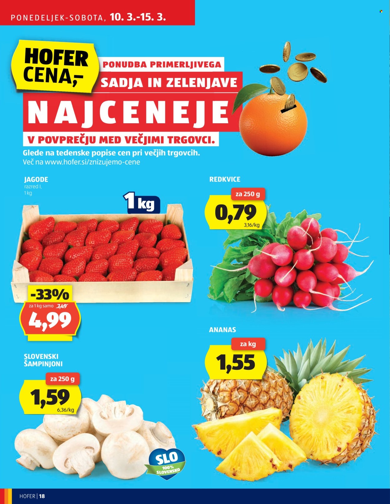 Hofer katalog - 6.3.2025 - 15.3.2025. Stran 18