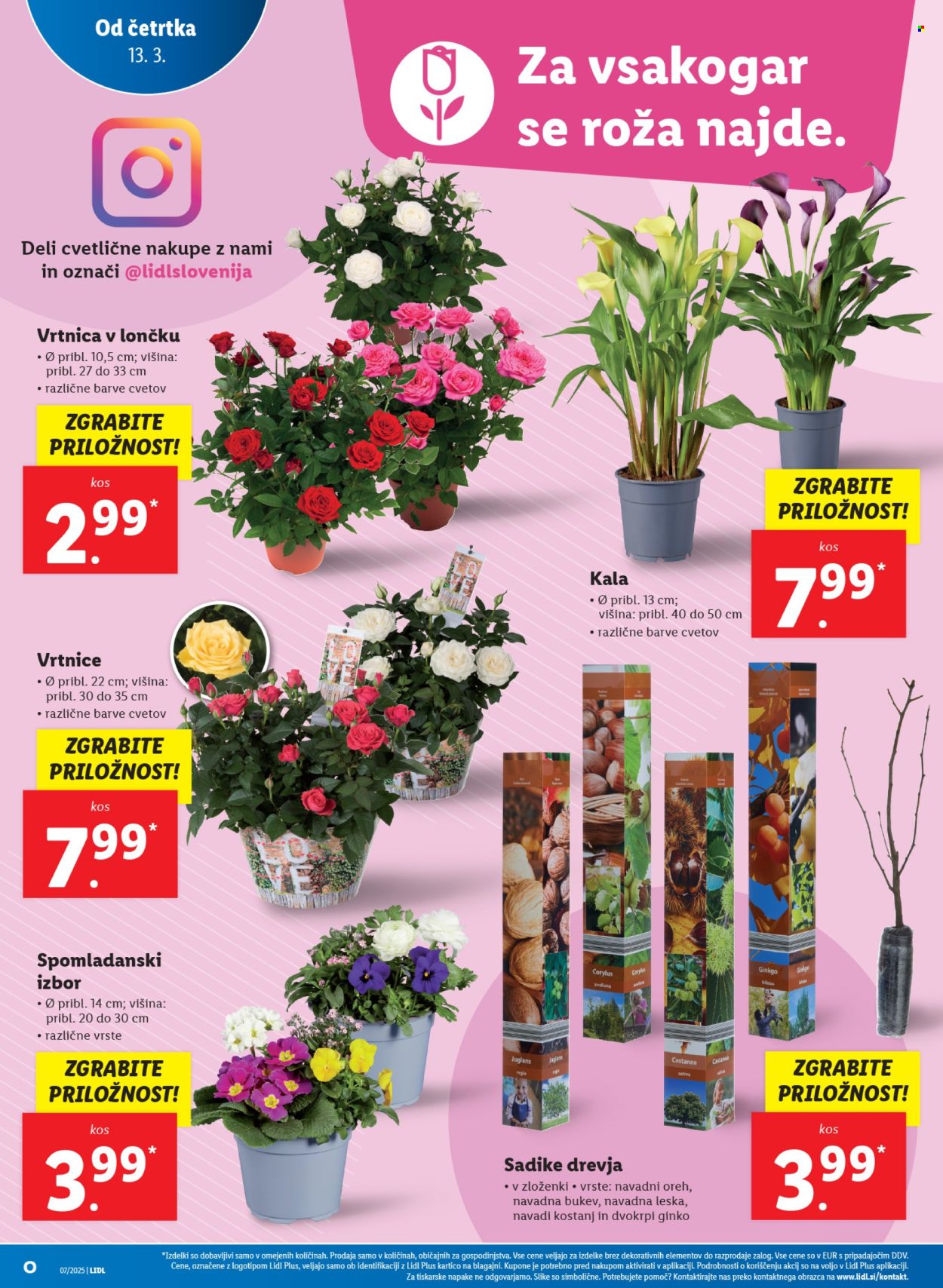 Lidl katalog - 13.3.2025 - 19.3.2025. Stran 8