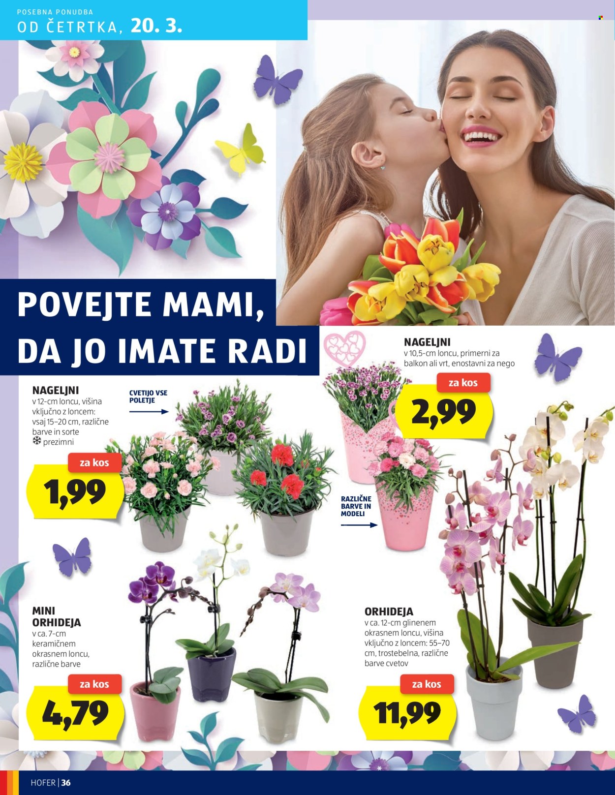 Hofer katalog - 13.3.2025 - 22.3.2025. Stran 36