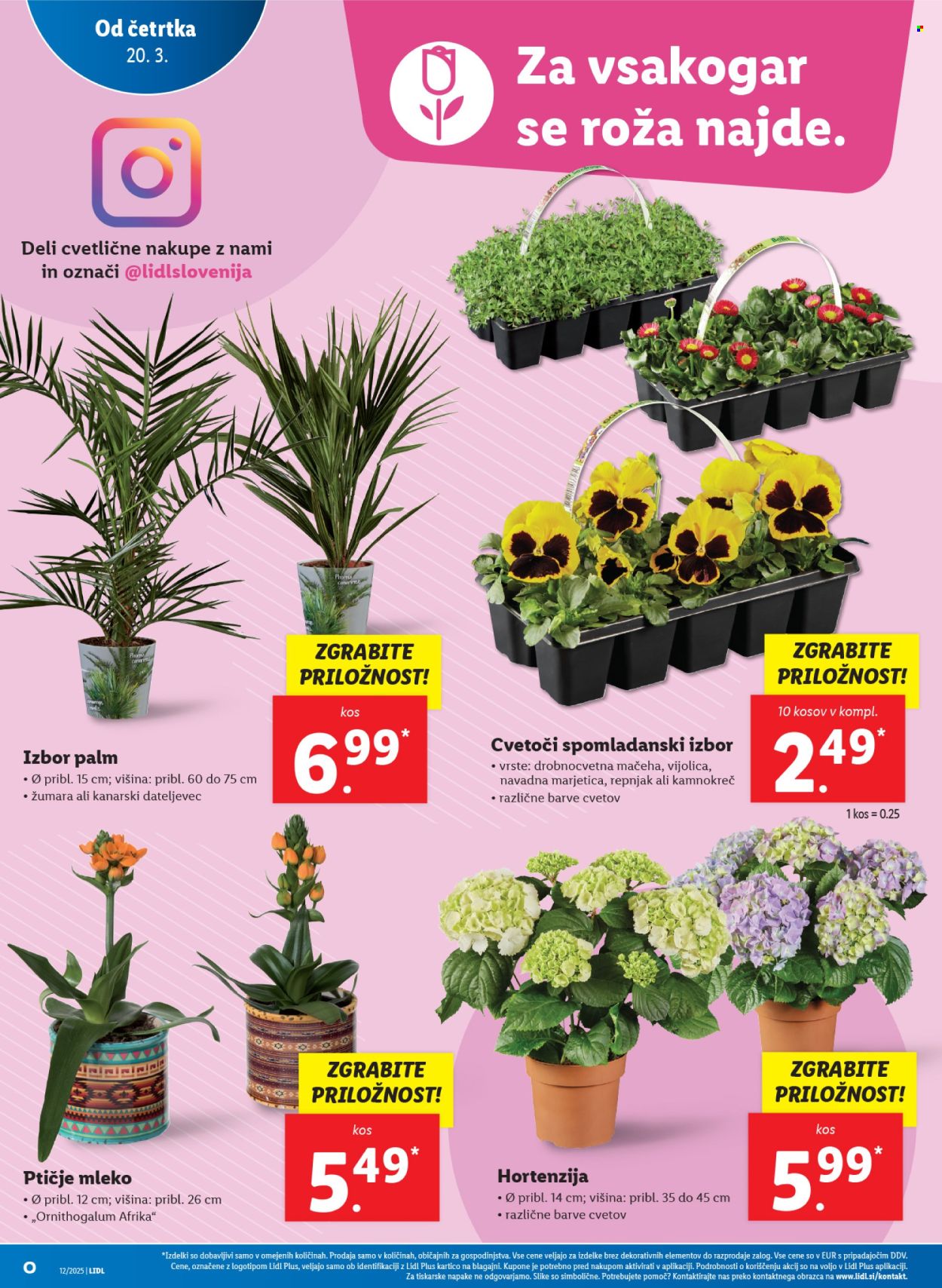 Lidl katalog - 20.3.2025 - 26.3.2025. Stran 6