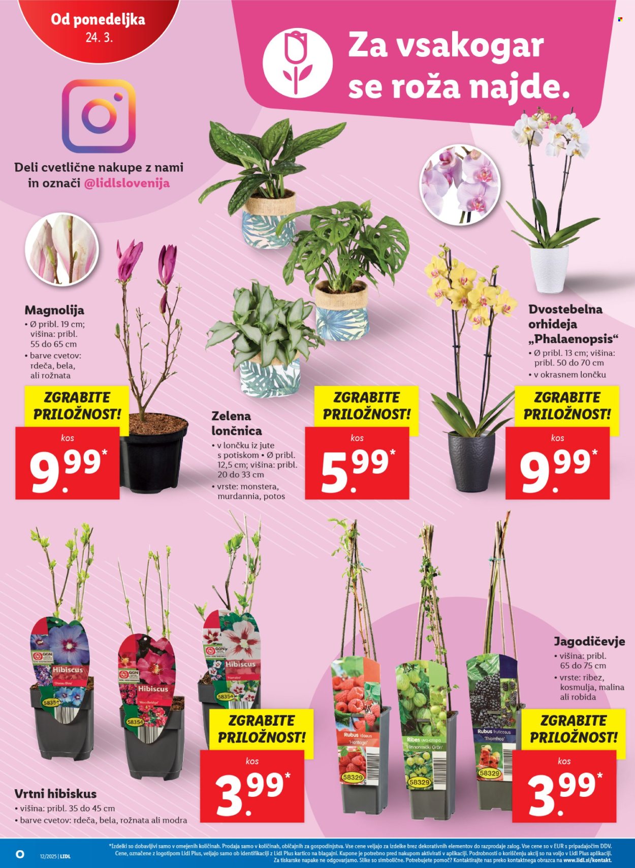 Lidl katalog - 20.3.2025 - 26.3.2025. Stran 48