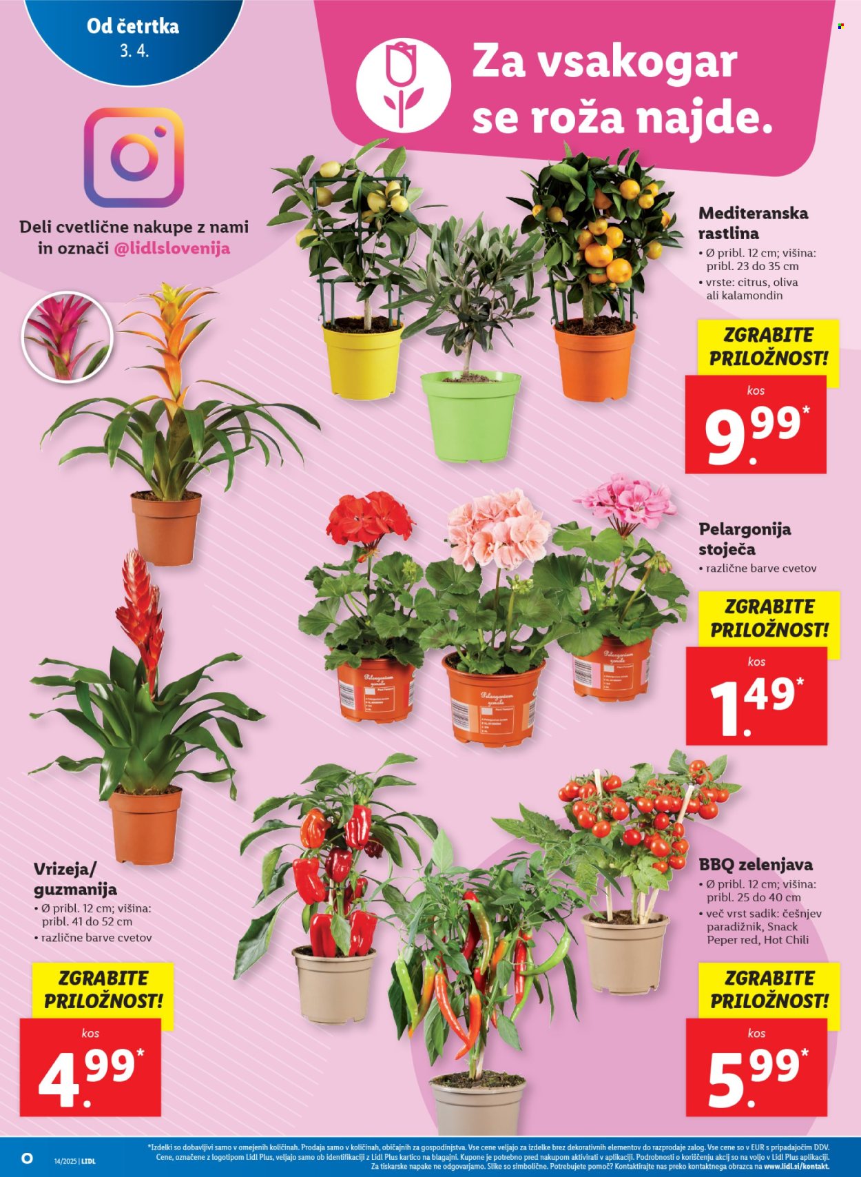 Lidl katalog - 3.4.2025 - 9.4.2025. Stran 6