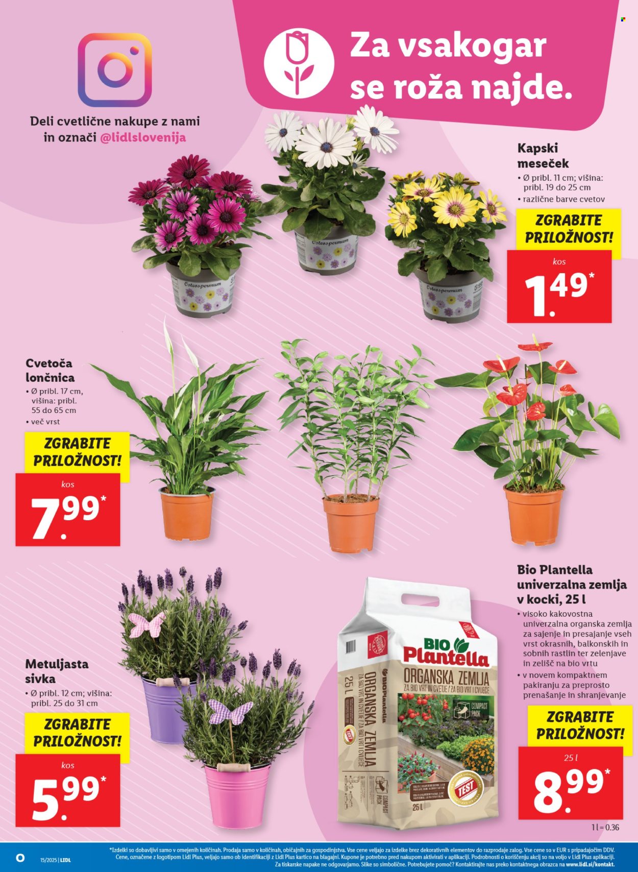 Lidl katalog - 10.4.2025 - 16.4.2025. Stran 10
