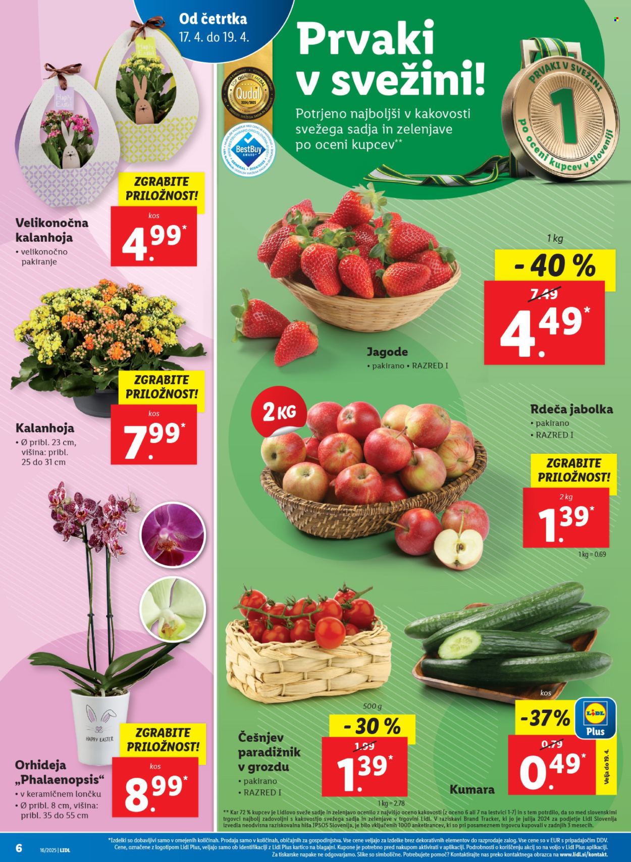 Lidl katalog - 17.4.2025 - 23.4.2025. Stran 12