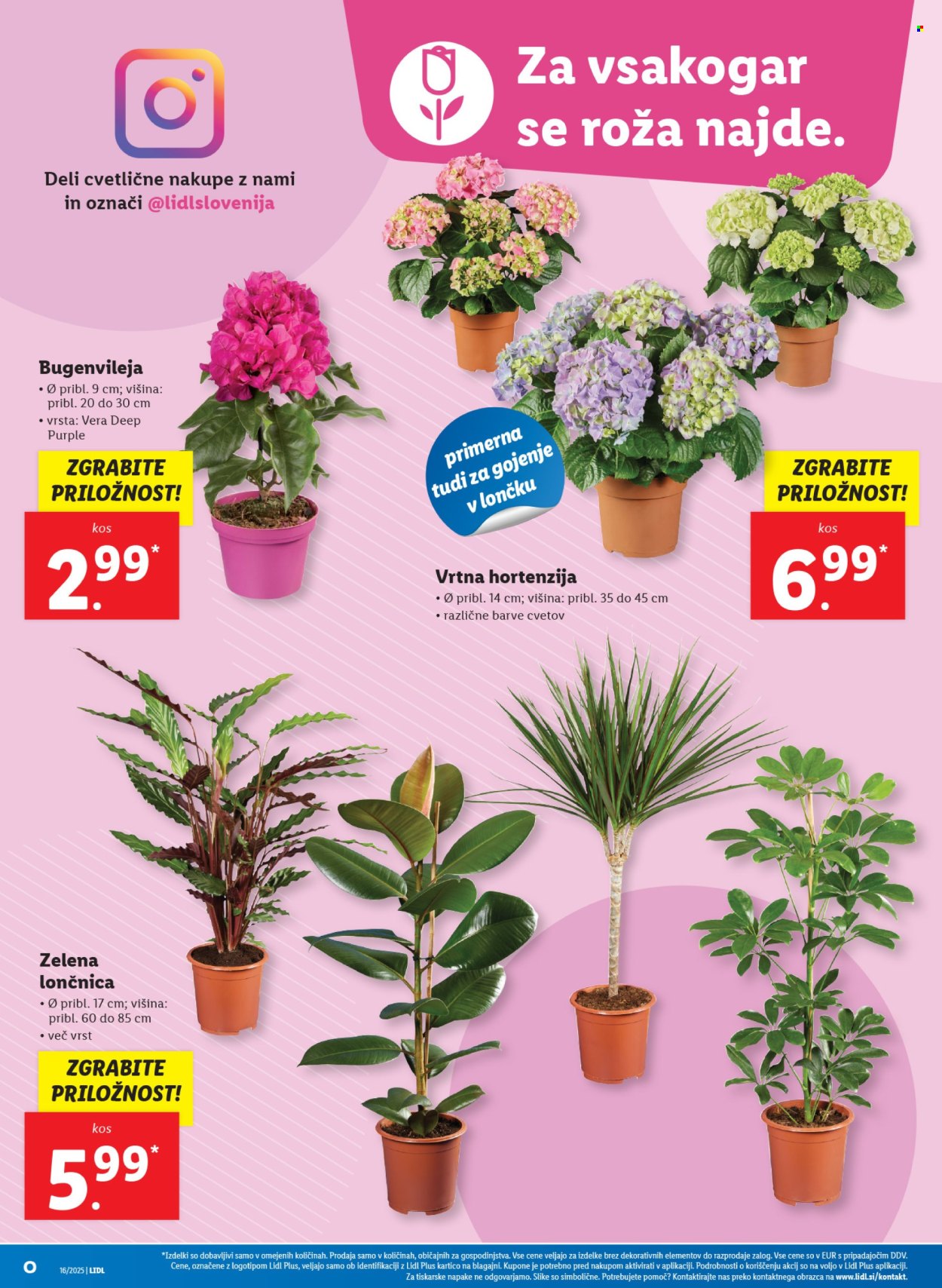 Lidl katalog - 17.4.2025 - 23.4.2025. Stran 46