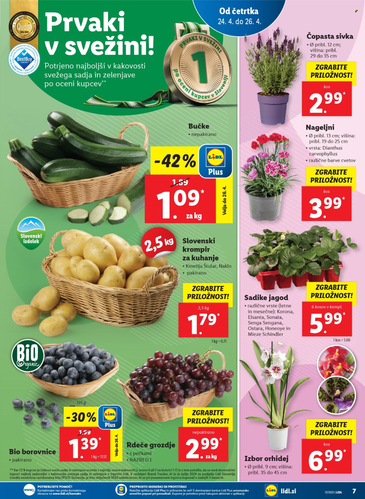 Lidl katalog - 24.4.2025 - 30.4.2025. Stran 11