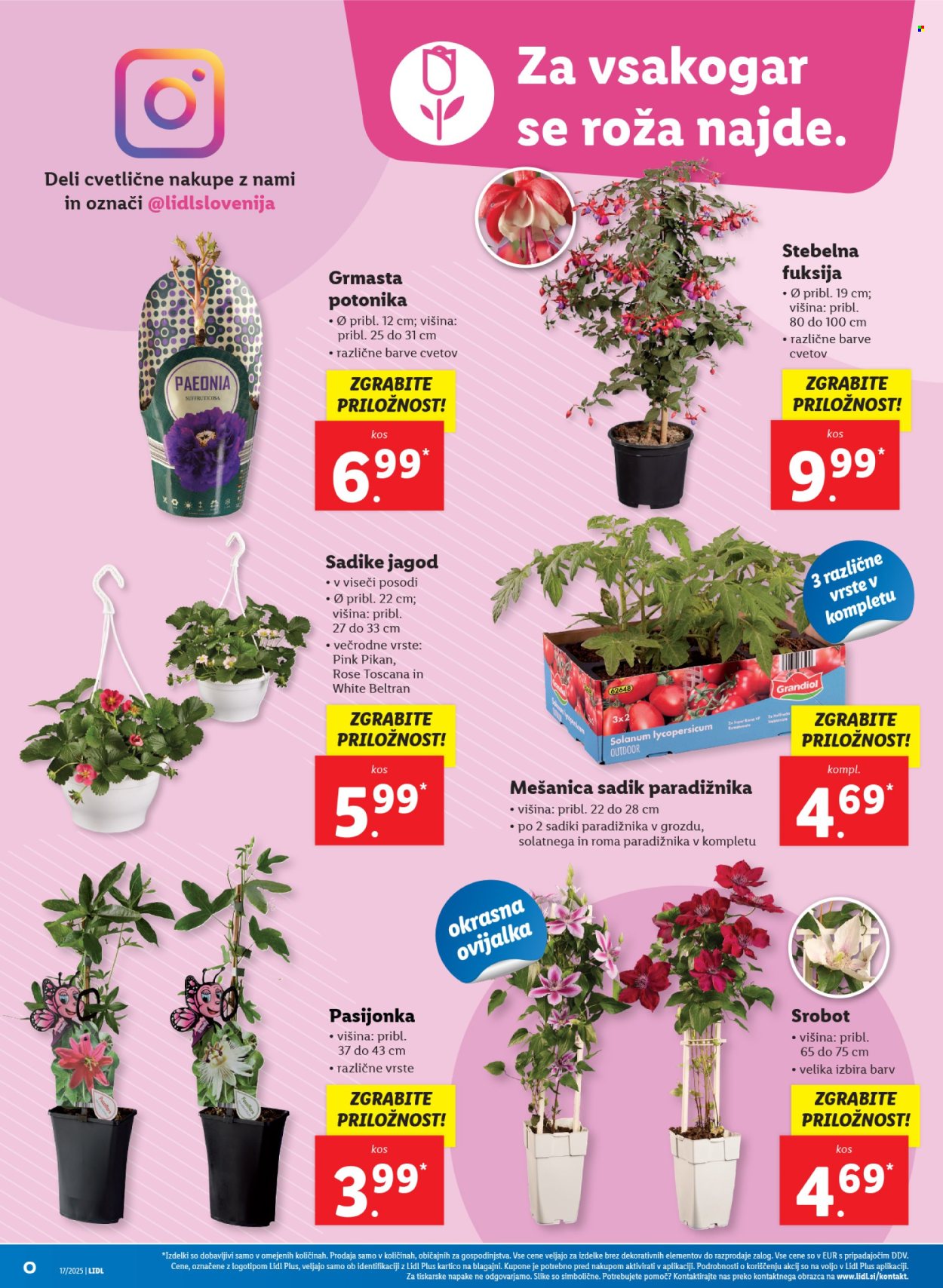 Lidl katalog - 24.4.2025 - 30.4.2025. Stran 42