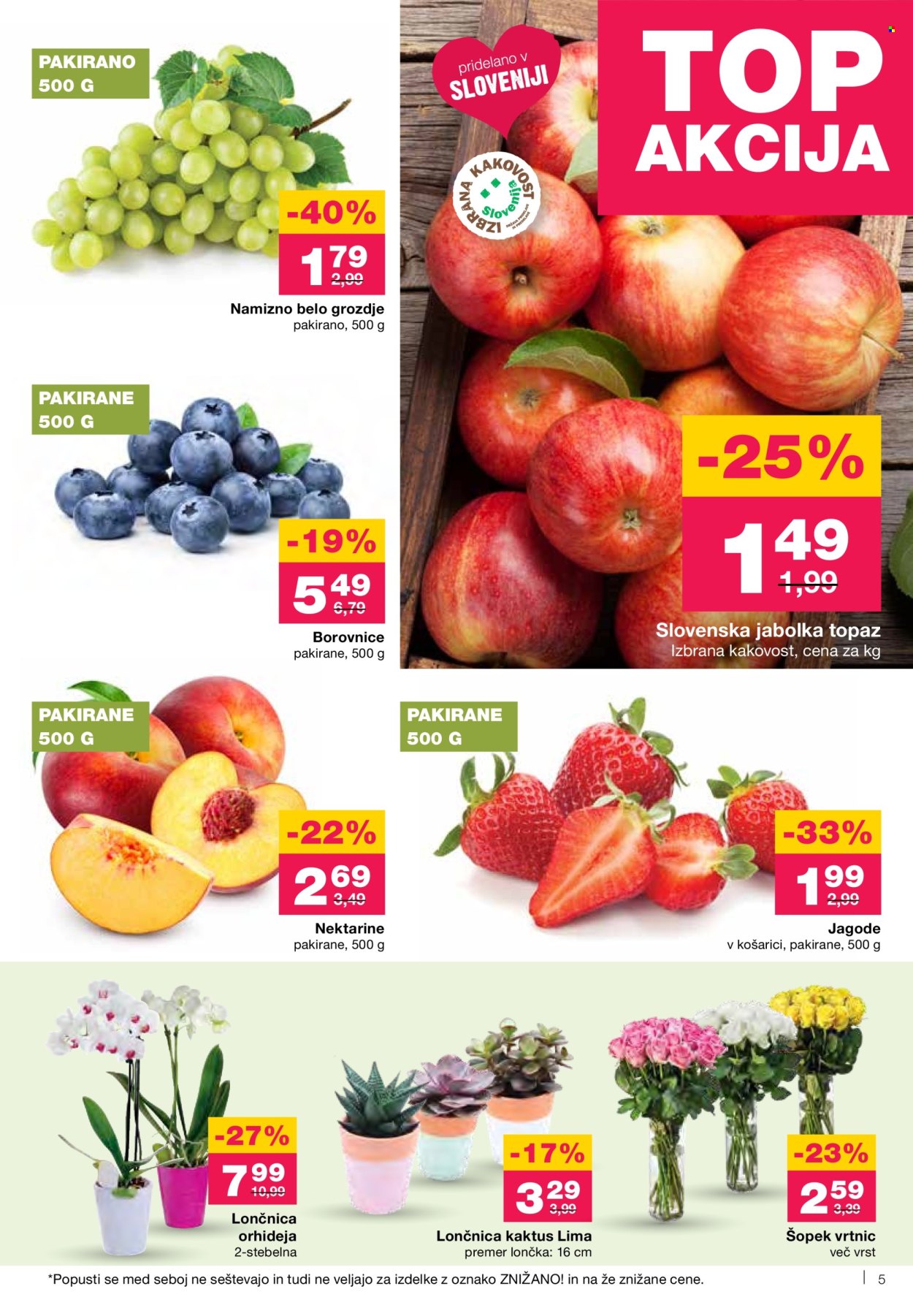 Mercator katalog - 8.5.2025 - 14.5.2025. Stran 5
