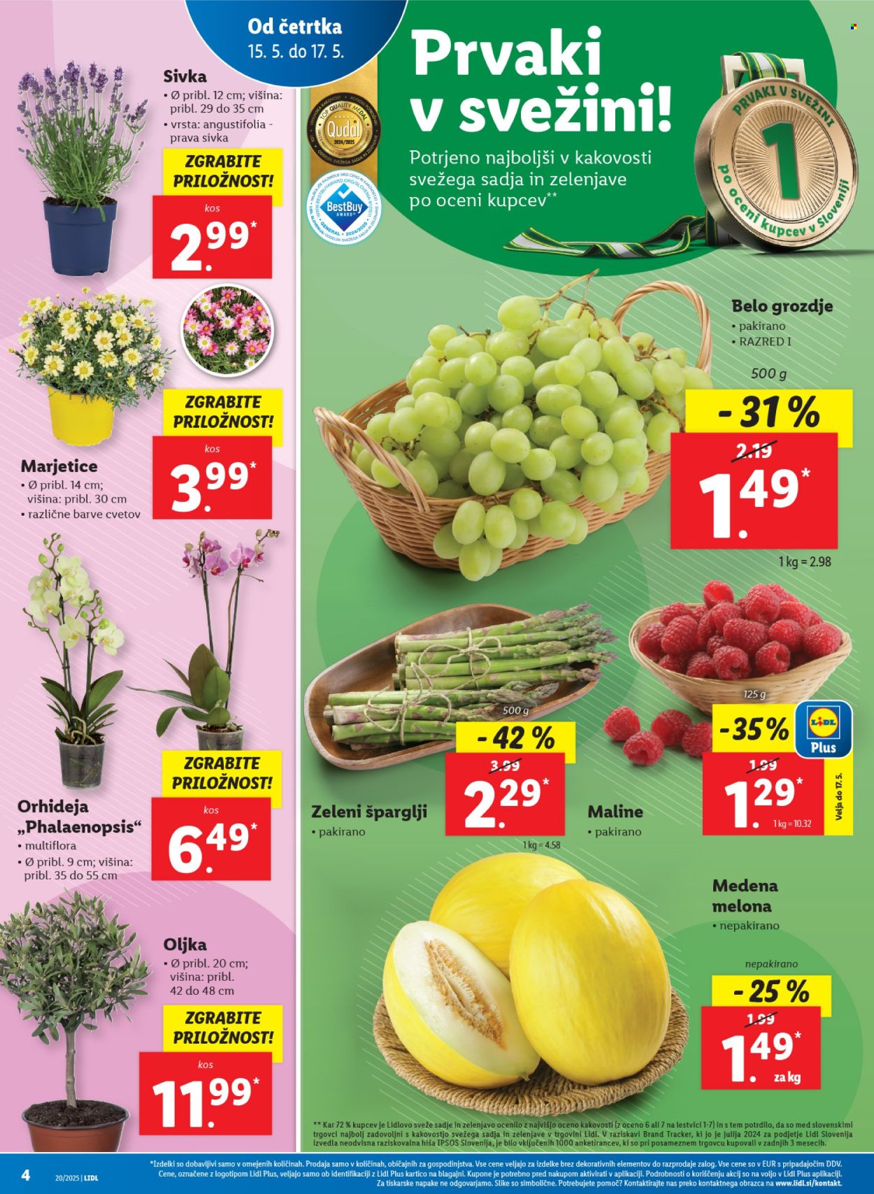 Lidl katalog - 15.5.2025 - 21.5.2025. Stran 4