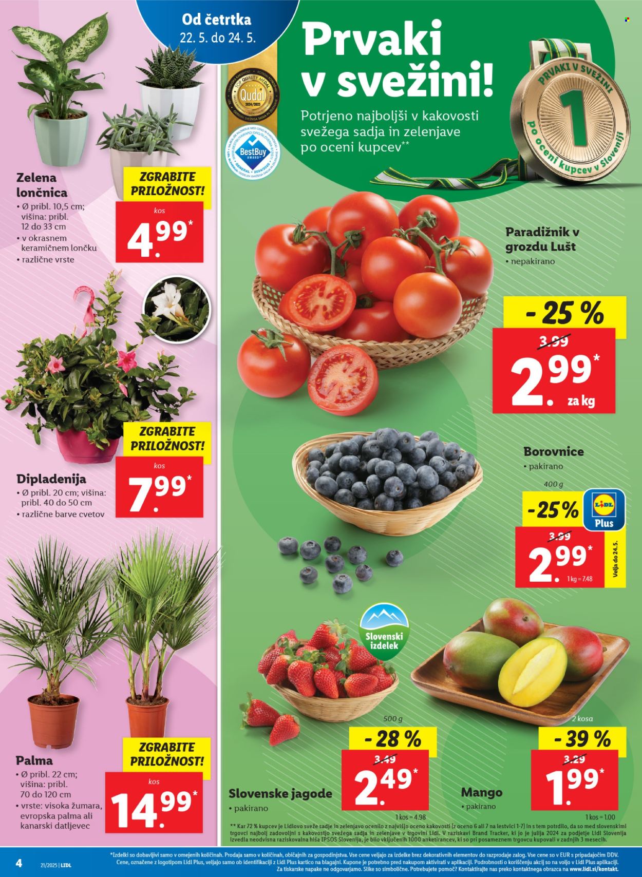 Lidl katalog - 22.5.2025 - 28.5.2025. Stran 4