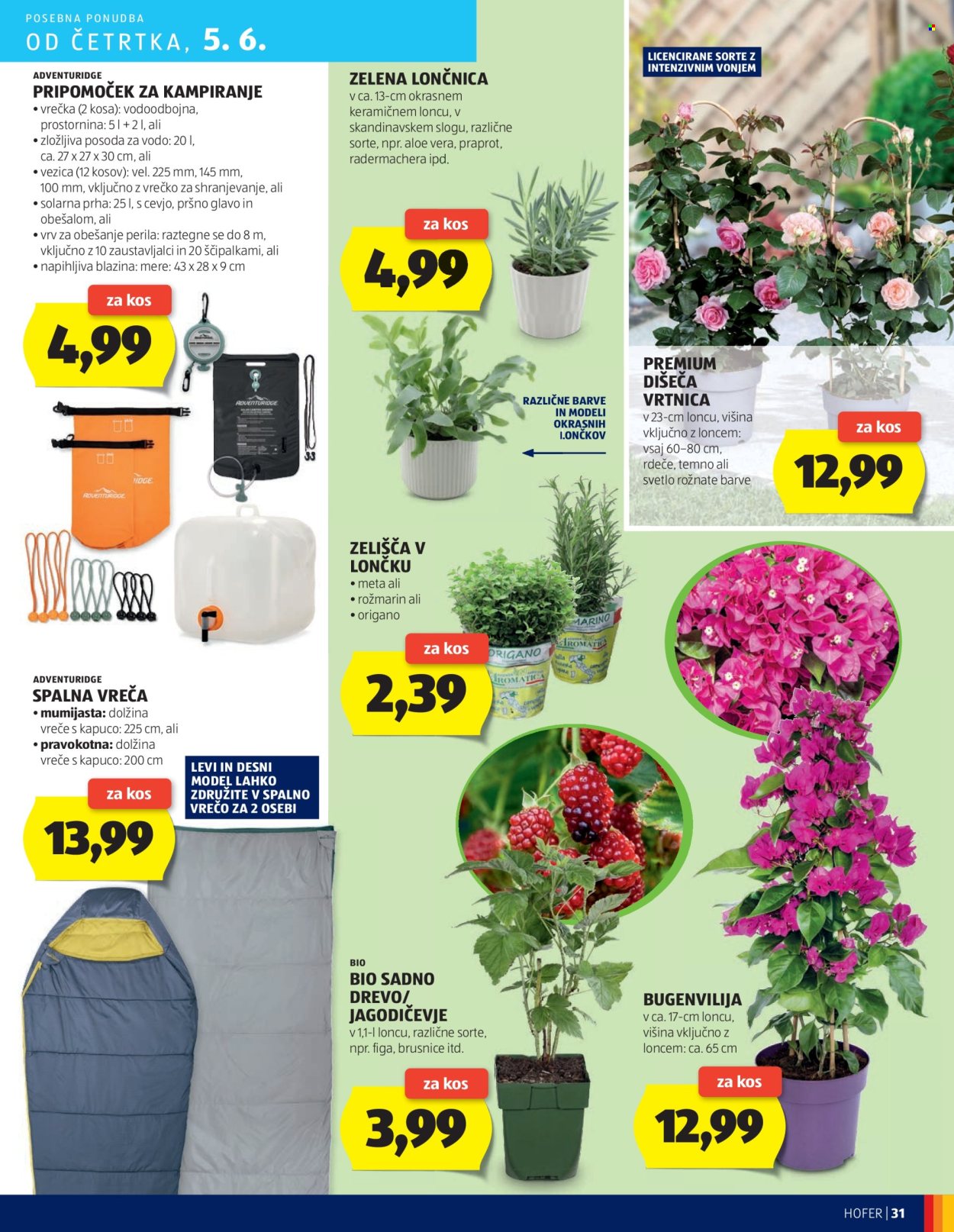 Hofer katalog - 29.5.2025 - 7.6.2025. Stran 31