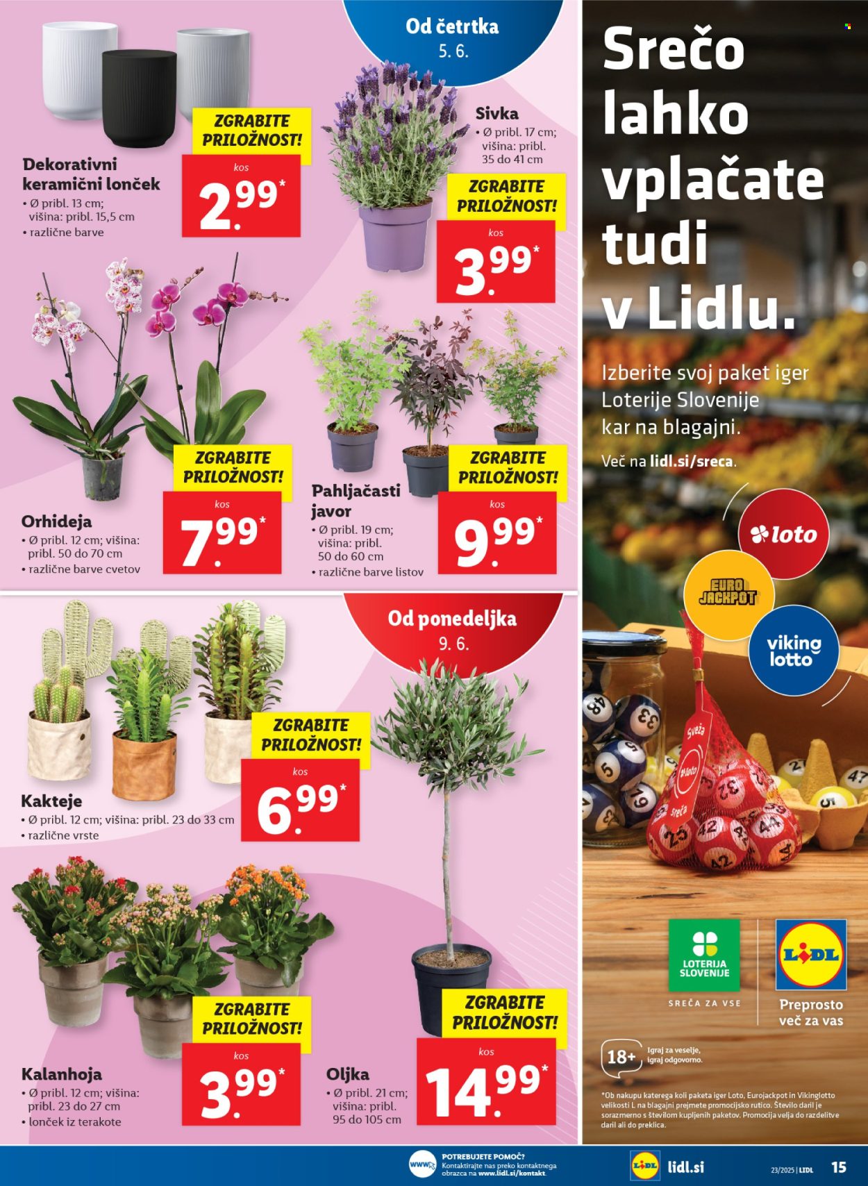 Lidl katalog - 5.6.2025 - 11.6.2025. Stran 33