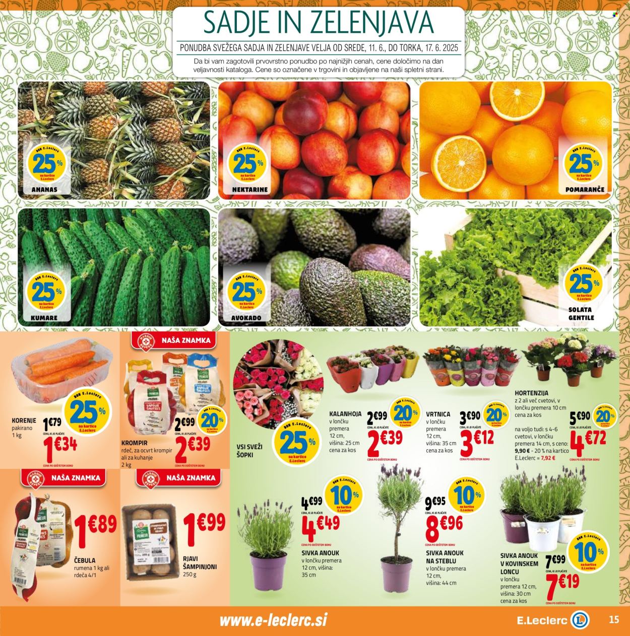 E.Leclerc katalog - 11.6.2025 - 21.6.2025. Stran 15