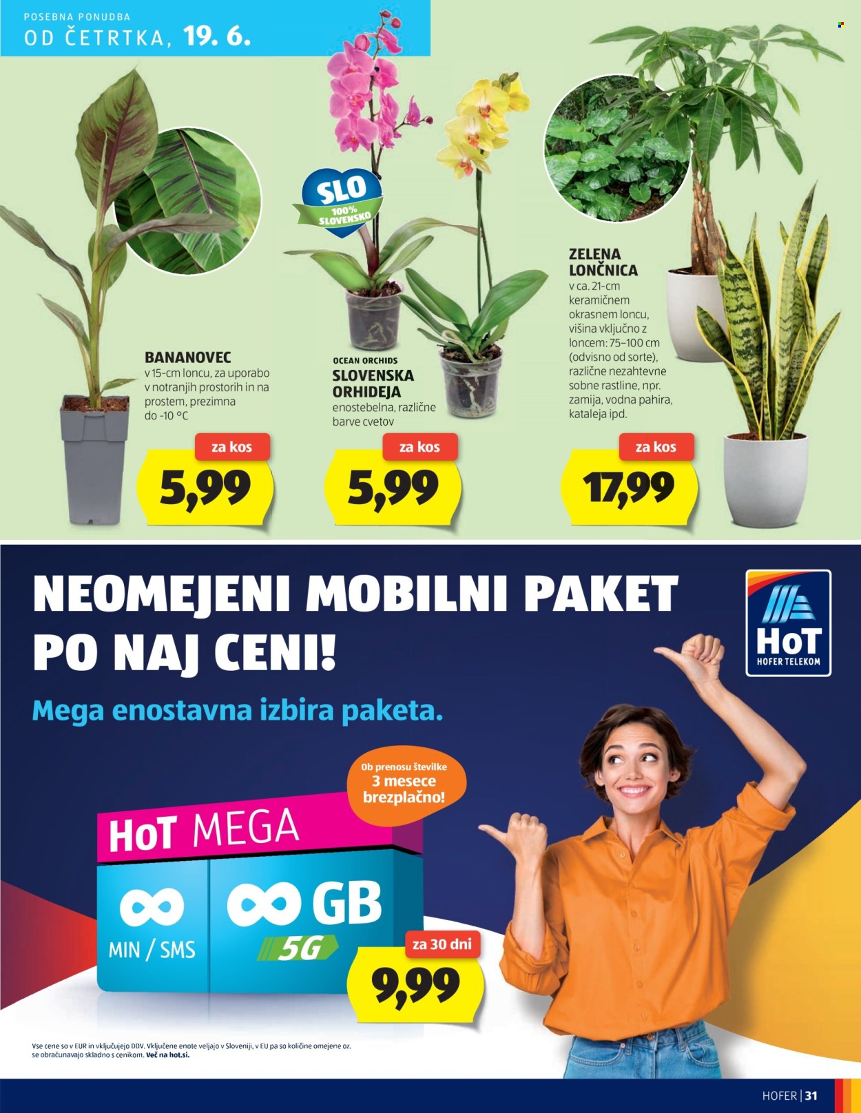 Hofer katalog - 12.6.2025 - 21.6.2025. Stran 31