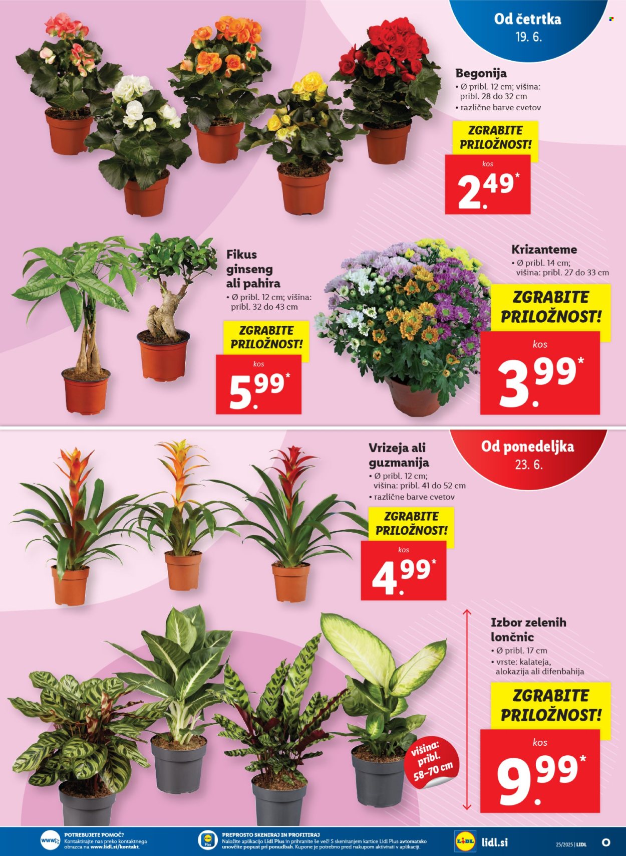 Lidl katalog - 19.6.2025 - 24.6.2025. Stran 35