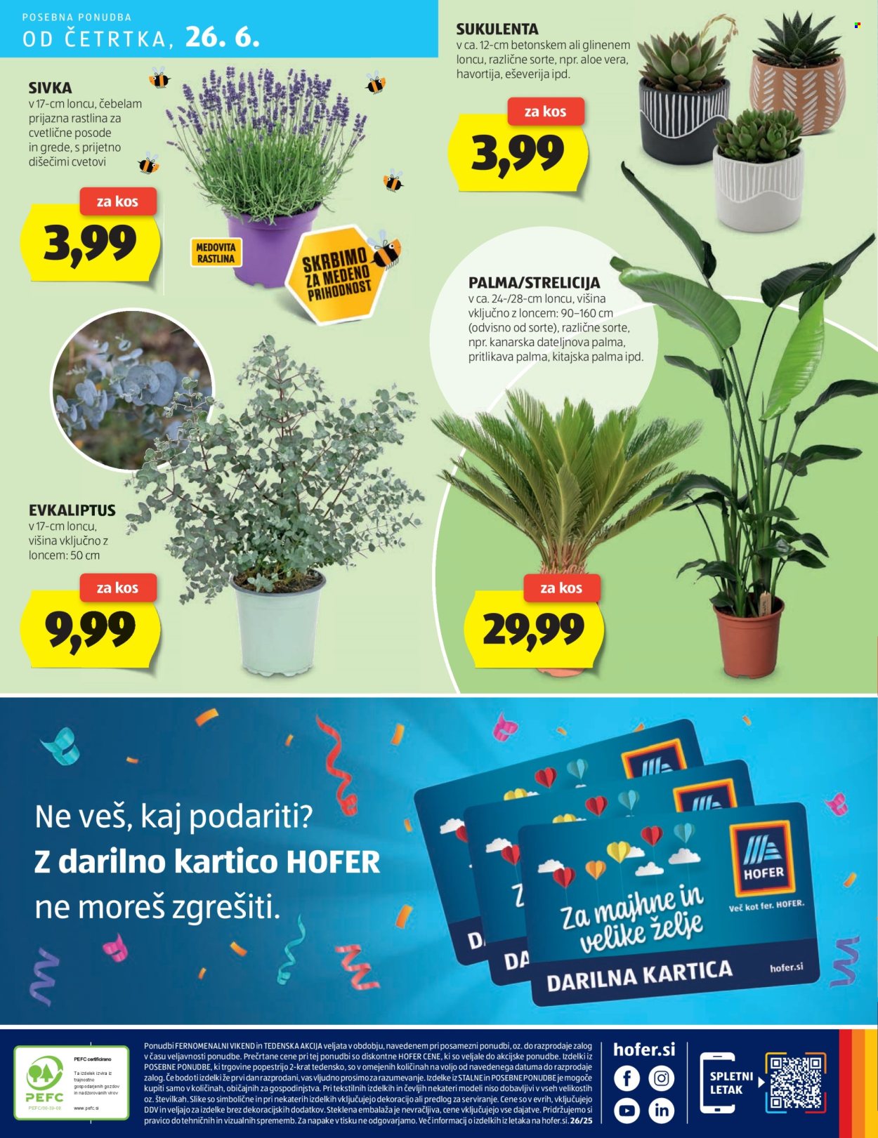 Hofer katalog - 19.6.2025 - 28.6.2025. Stran 32