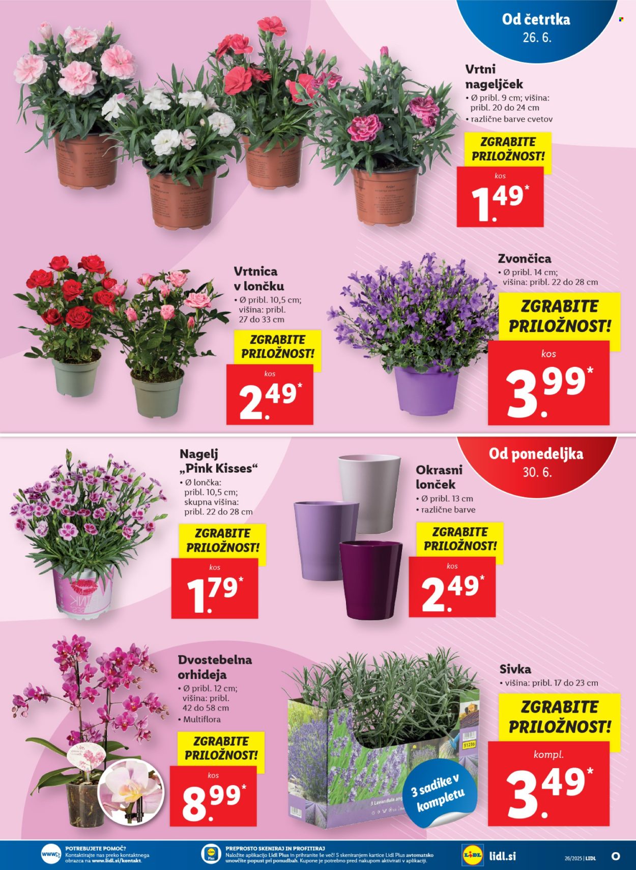 Lidl katalog - 26.6.2025 - 2.7.2025. Stran 35