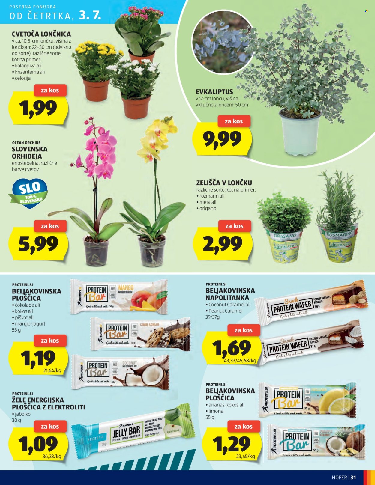 Hofer katalog - 26.6.2025 - 5.7.2025. Stran 31