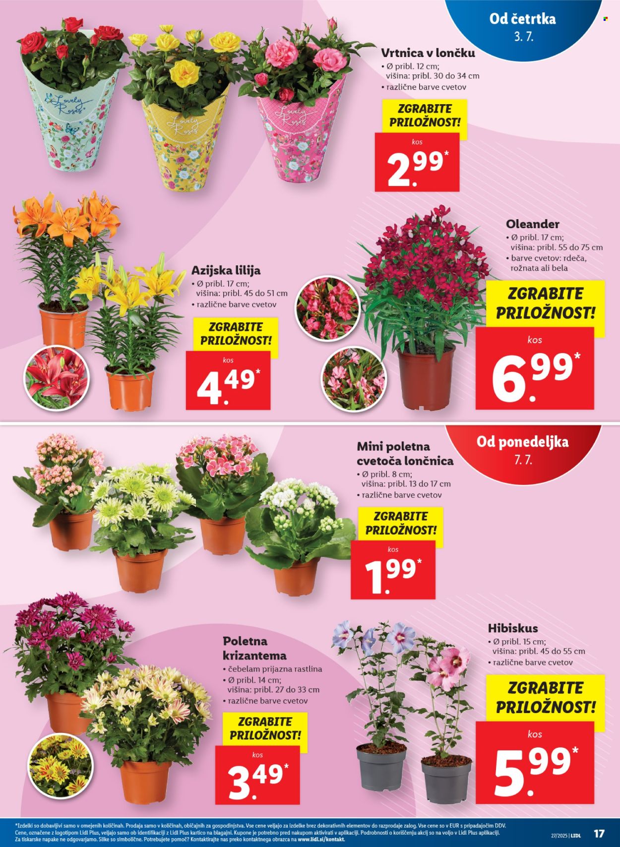 Lidl katalog - 3.7.2025 - 9.7.2025. Stran 27