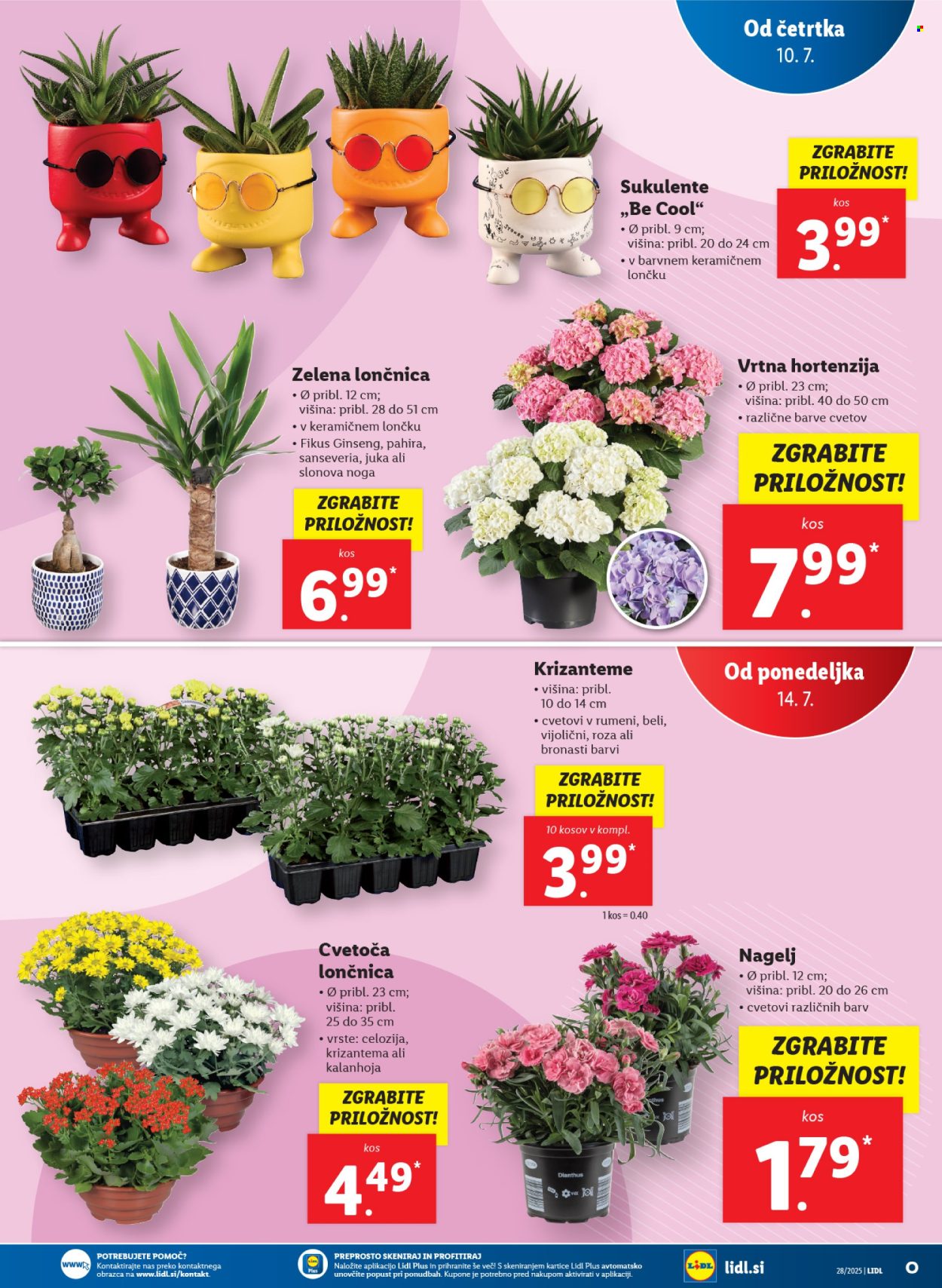 Lidl katalog - 10.7.2025 - 16.7.2025. Stran 33