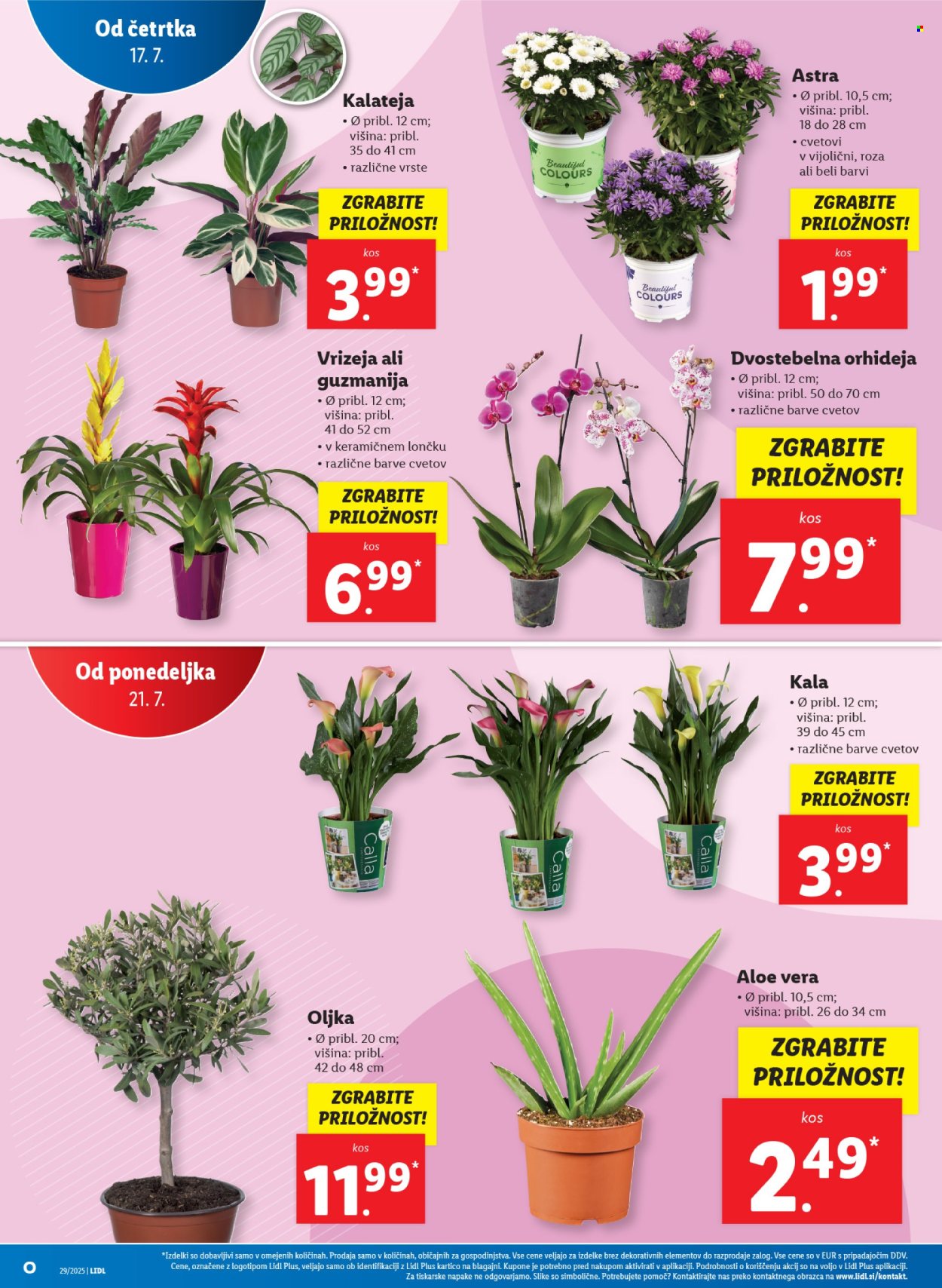 Lidl katalog - 17.7.2025 - 23.7.2025. Stran 28