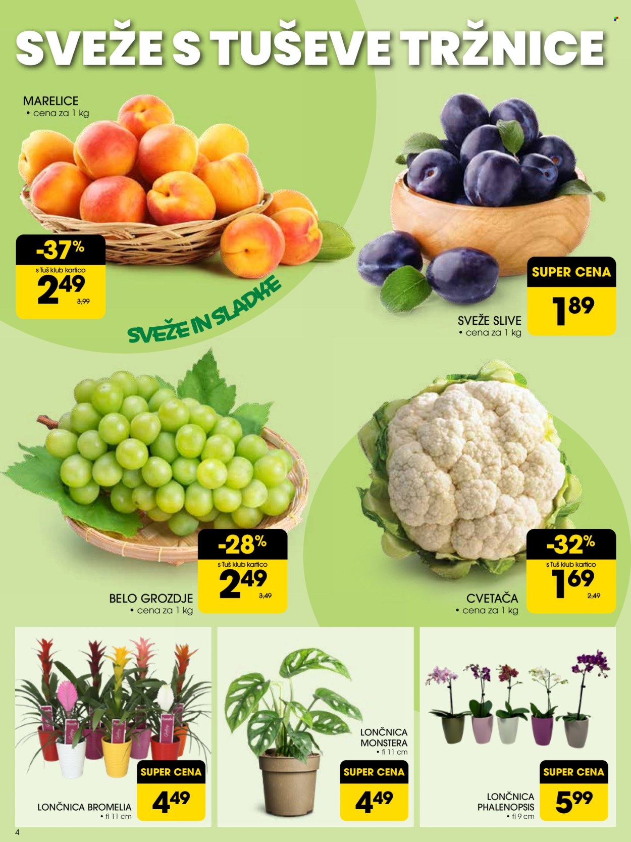 Tuš katalog - 23.7.2025 - 29.7.2025. Stran 4