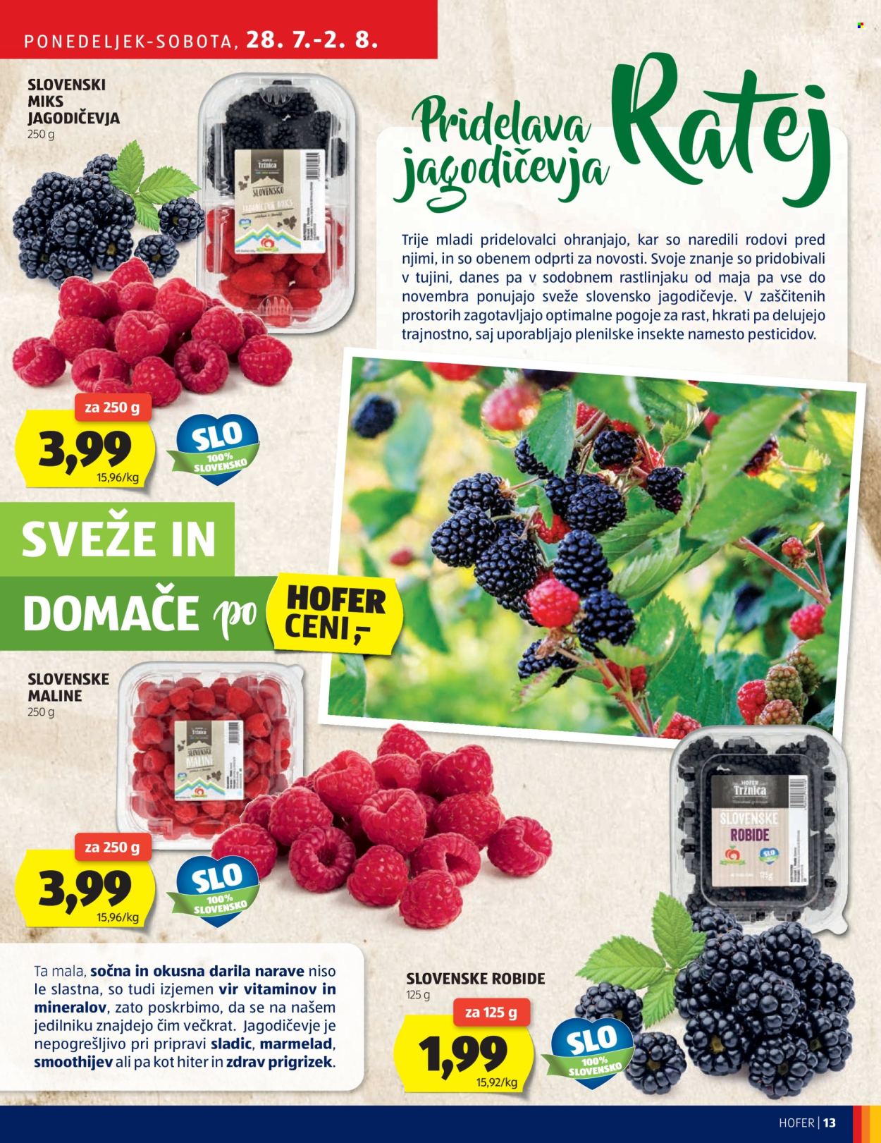 Hofer katalog - 28.7.2025 - 2.8.2025. Stran 13