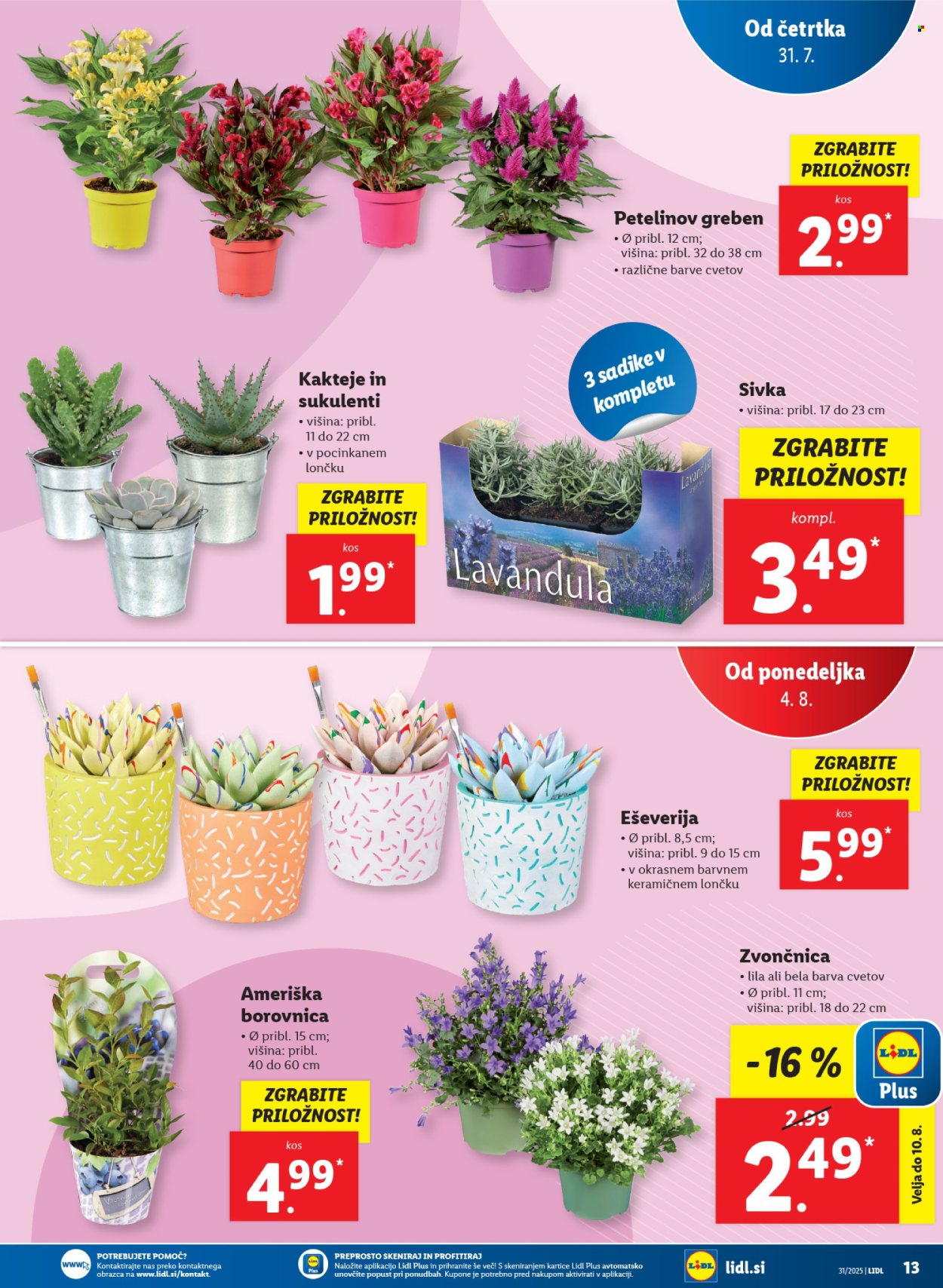 Lidl katalog - 31.7.2025 - 6.8.2025. Stran 19