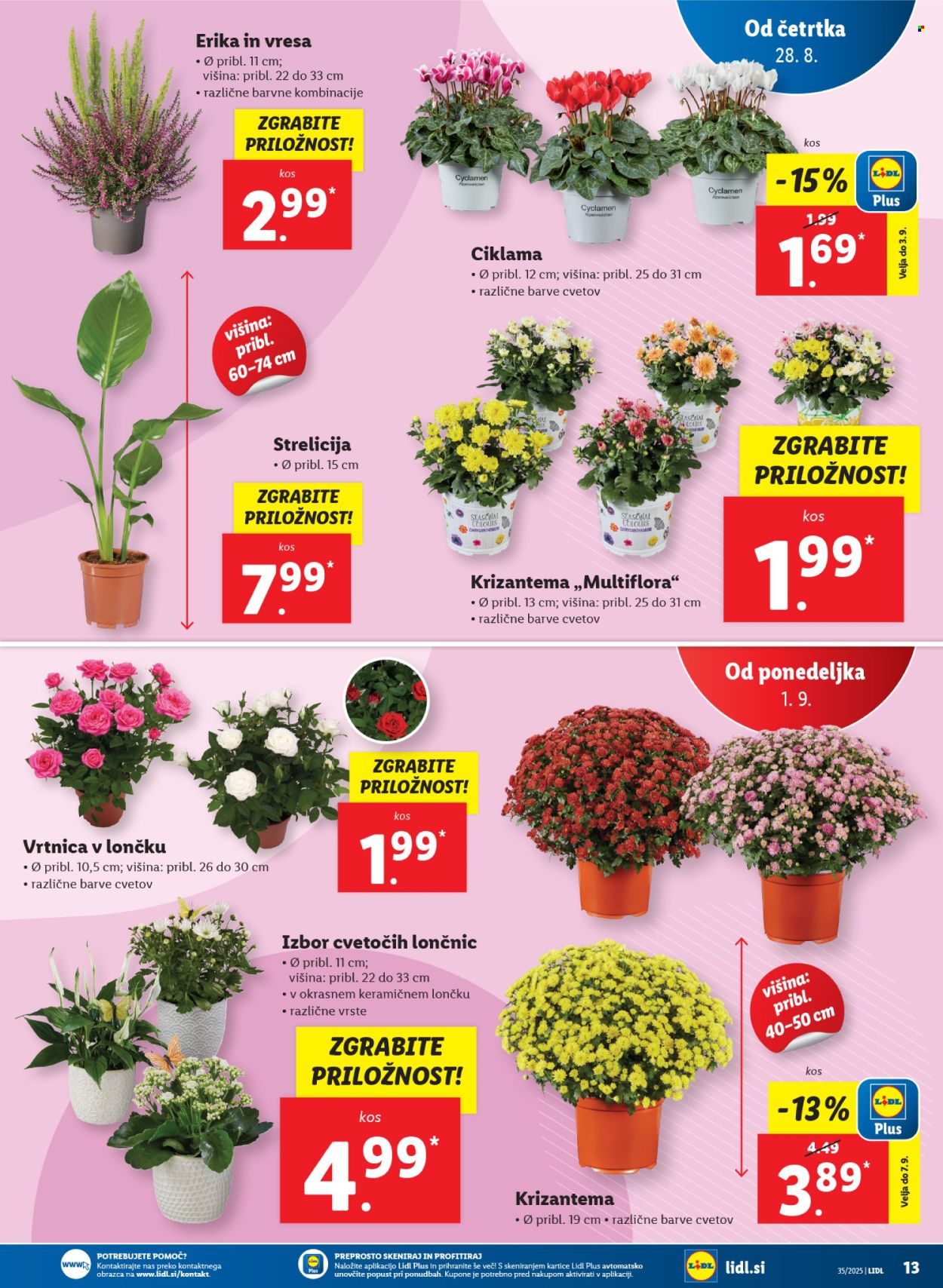 Lidl katalog - 28.8.2025 - 3.9.2025. Stran 31