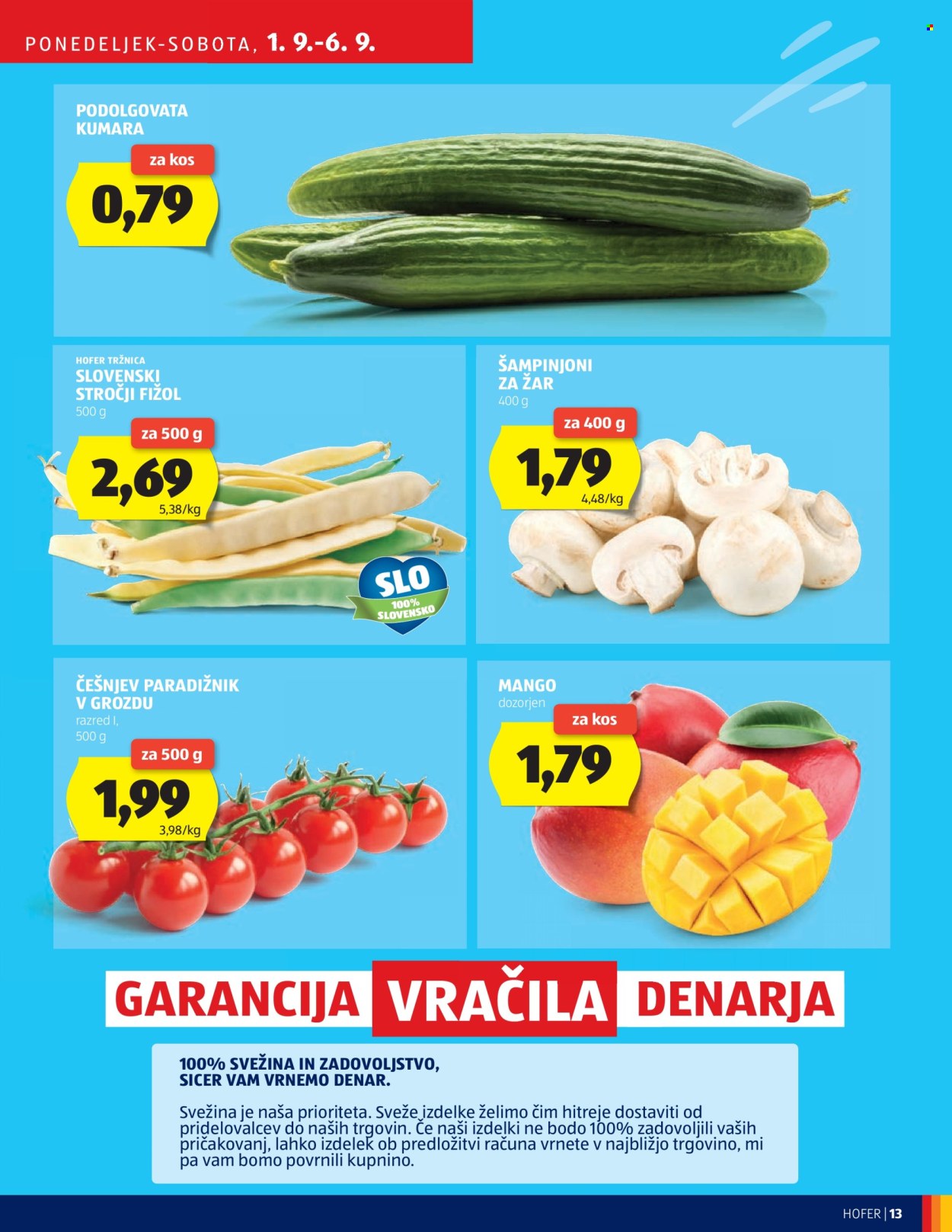 Hofer katalog - 28.8.2025 - 6.9.2025. Stran 13