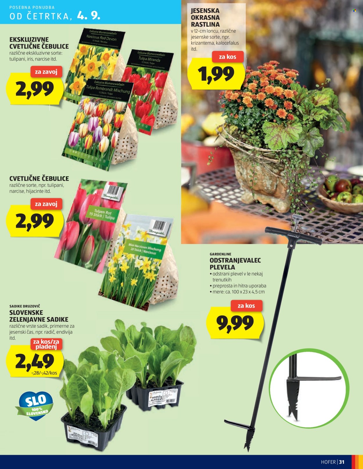 Hofer katalog - 28.8.2025 - 6.9.2025. Stran 31
