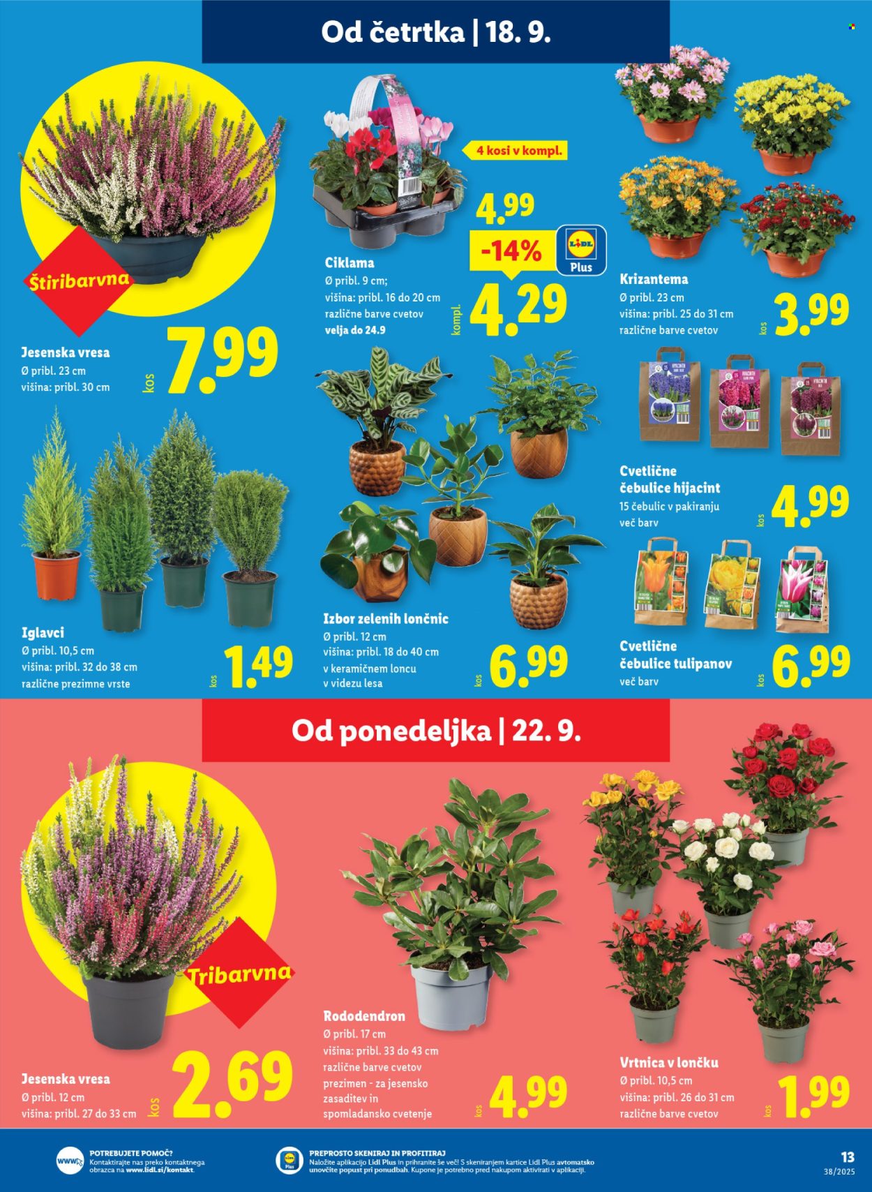Lidl katalog - 18.9.2025 - 24.9.2025. Stran 23