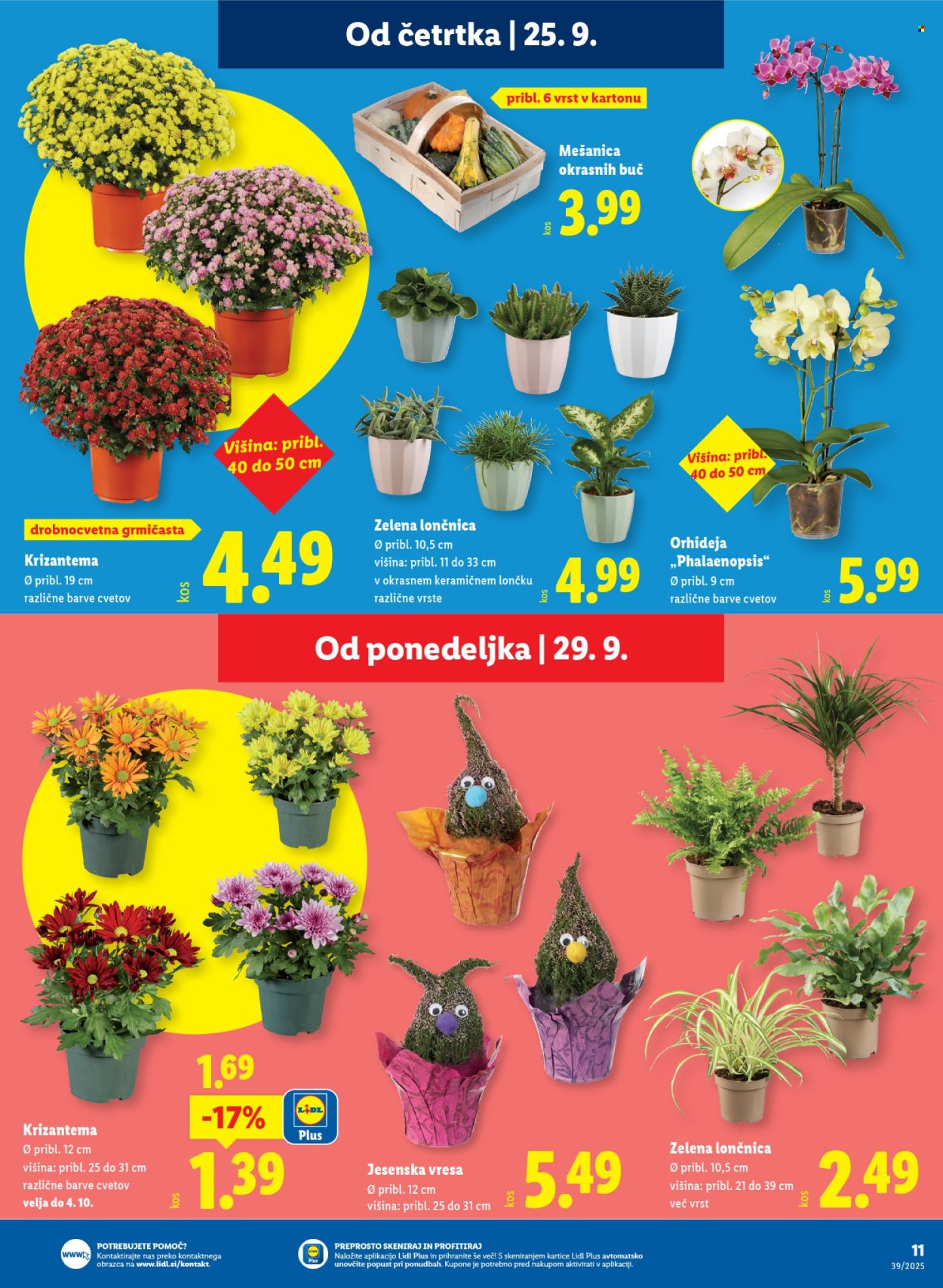 Lidl katalog - 25.9.2025 - 1.10.2025. Stran 17