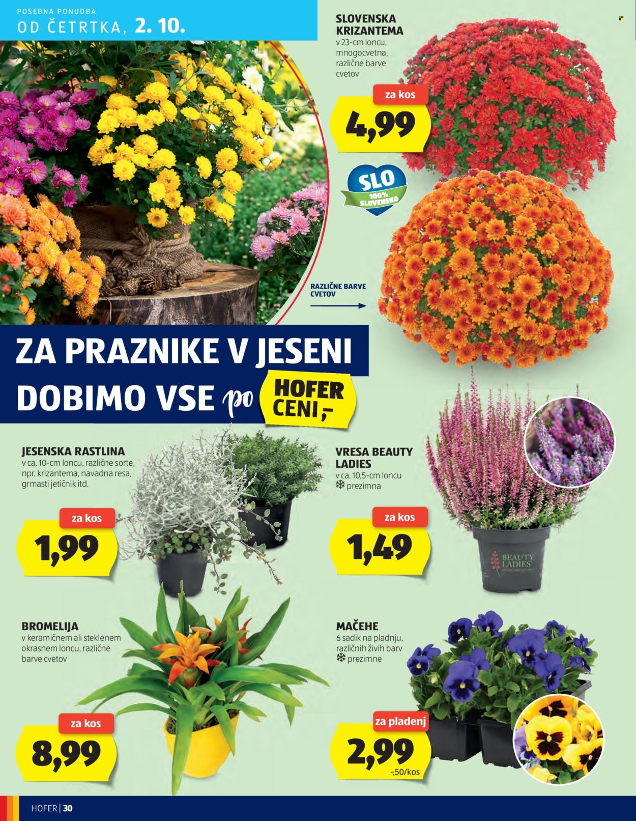 Hofer katalog - 25.9.2025 - 4.10.2025. Stran 30