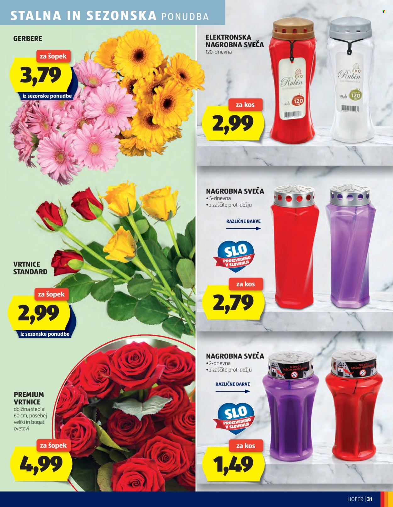 Hofer katalog - 25.9.2025 - 4.10.2025. Stran 31