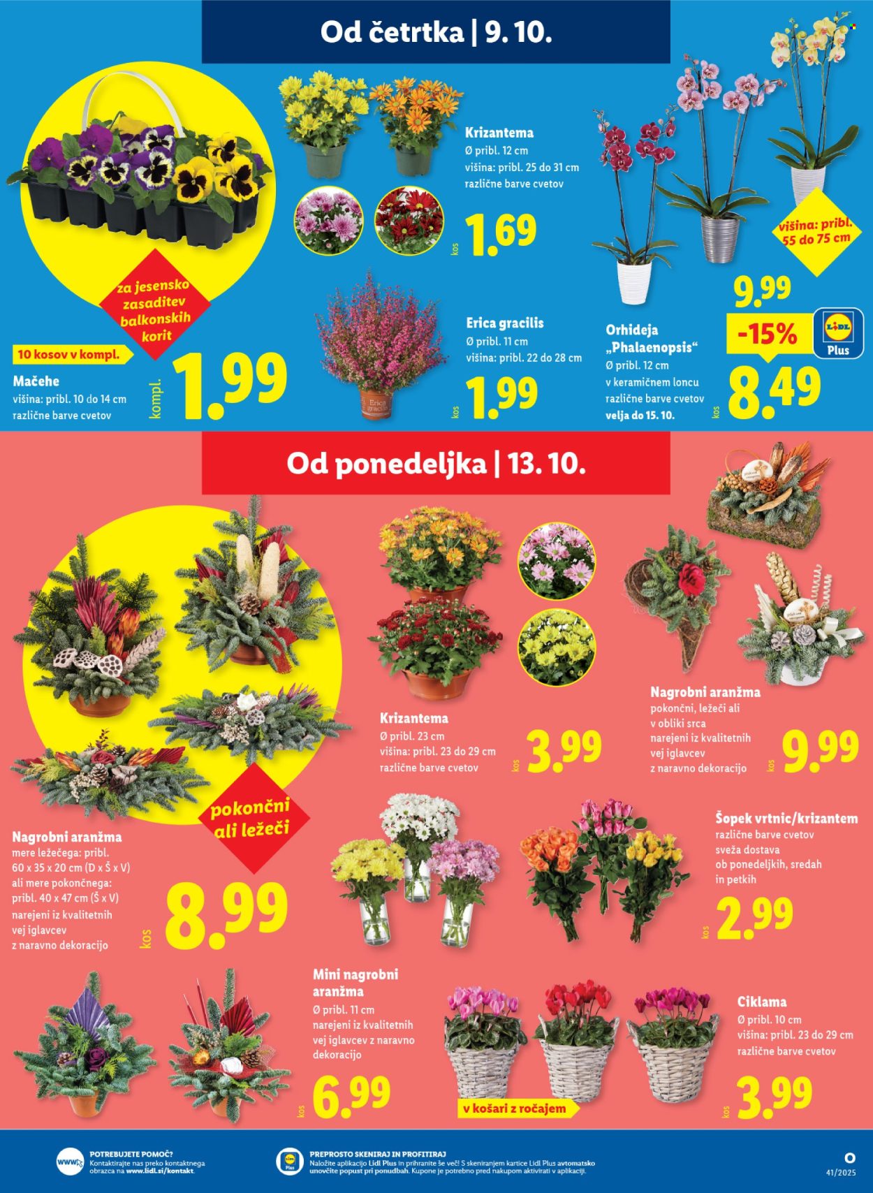 Lidl katalog - 9.10.2025 - 15.10.2025. Stran 21