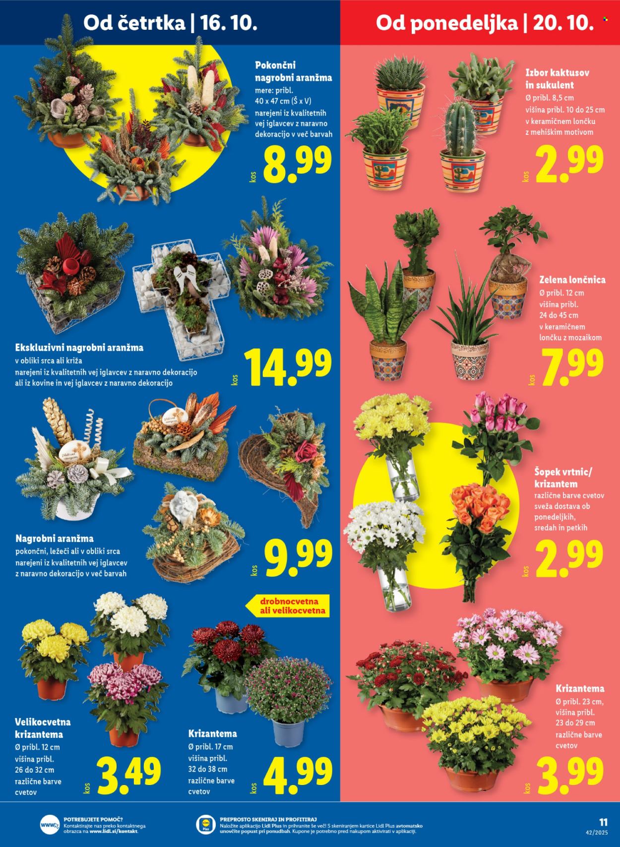 Lidl katalog - 16.10.2025 - 22.10.2025. Stran 15