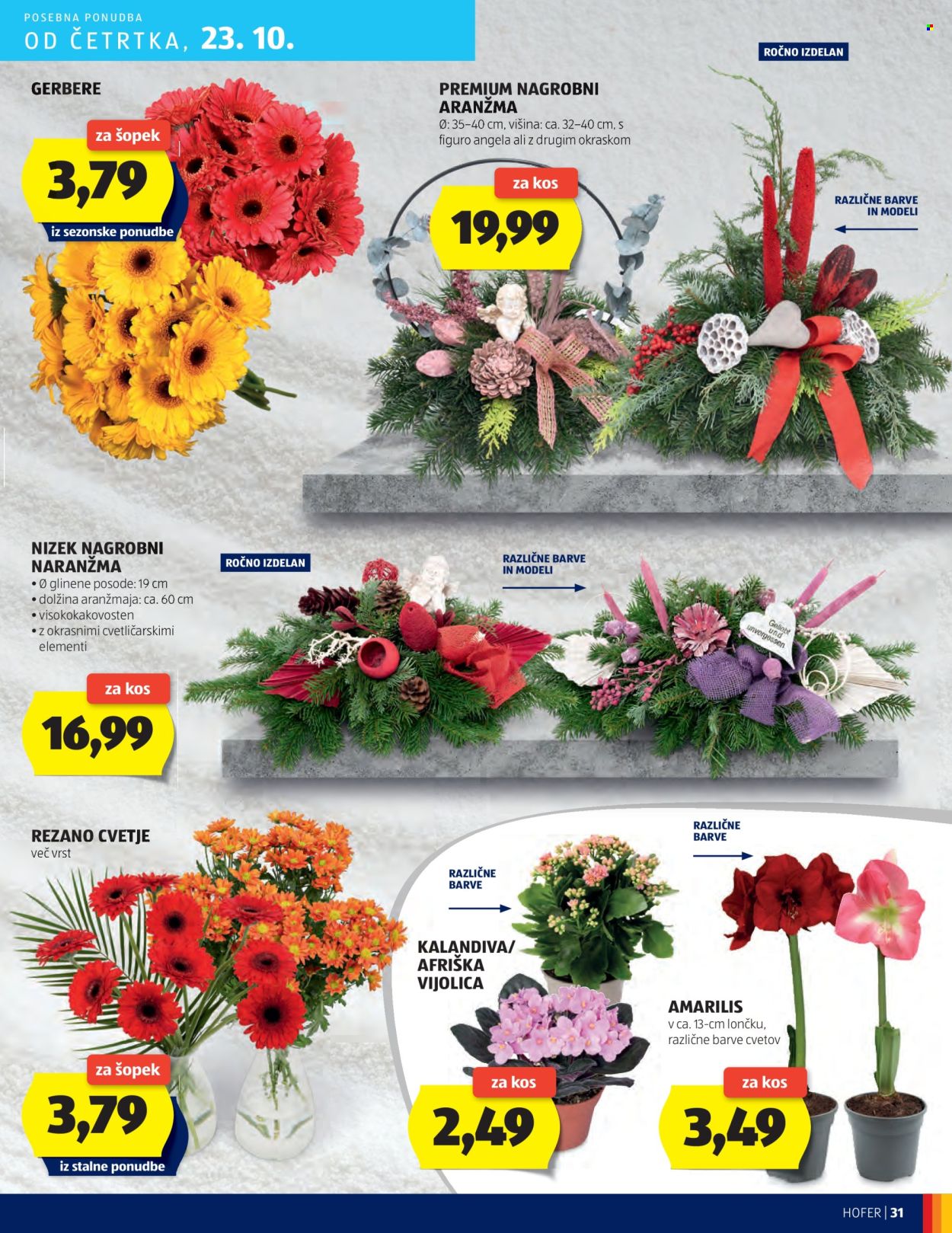 Hofer katalog - 16.10.2025 - 23.10.2025. Stran 31