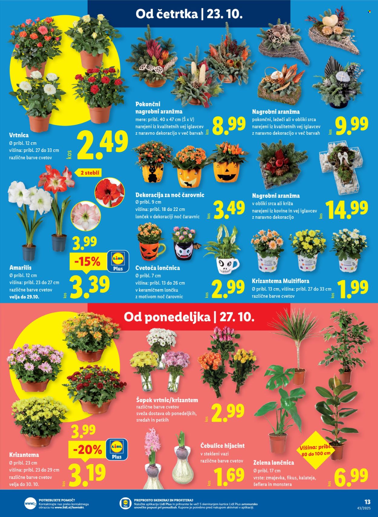 Lidl katalog - 23.10.2025 - 29.10.2025. Stran 27