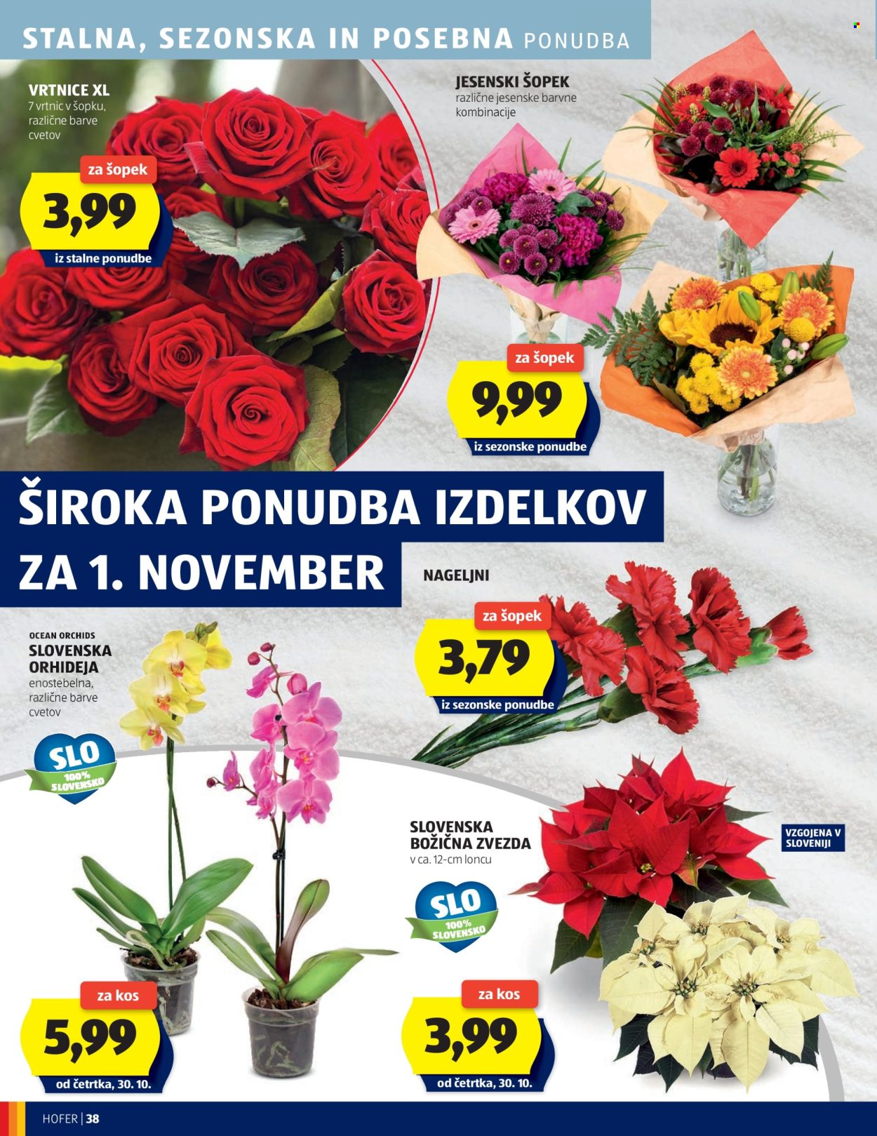 Hofer katalog - 23.10.2025 - 31.10.2025. Stran 38