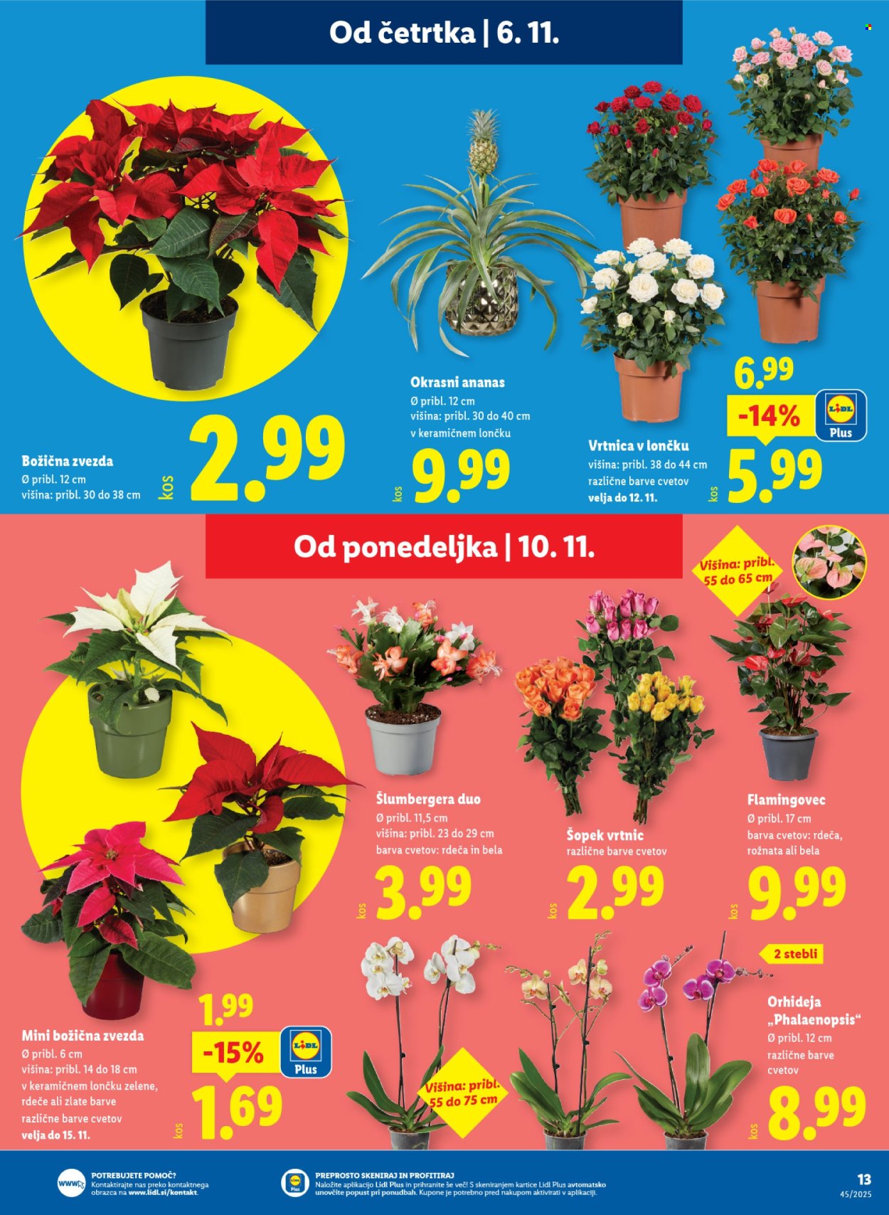 Lidl katalog - 6.11.2025 - 12.11.2025. Stran 29
