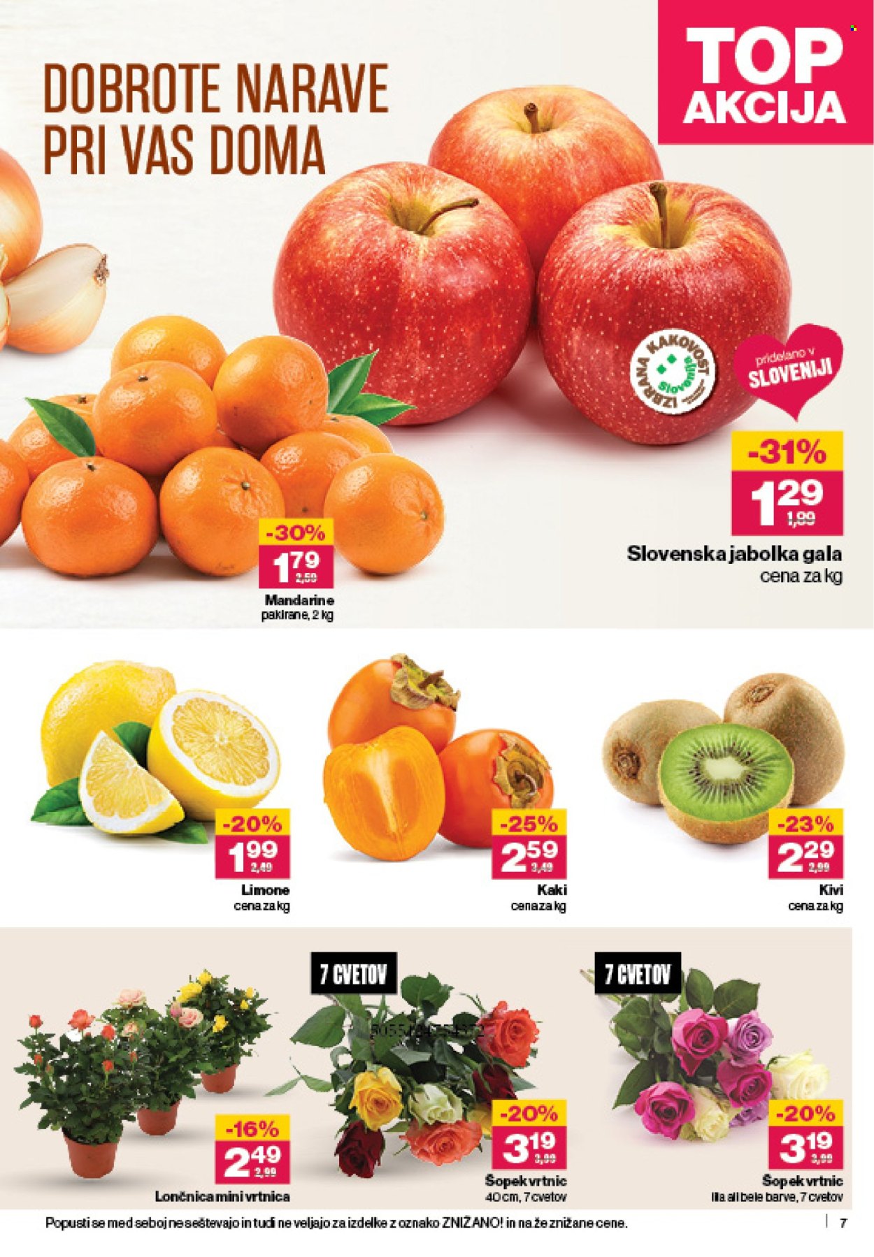 Mercator katalog - 6.11.2025 - 12.11.2025. Stran 7