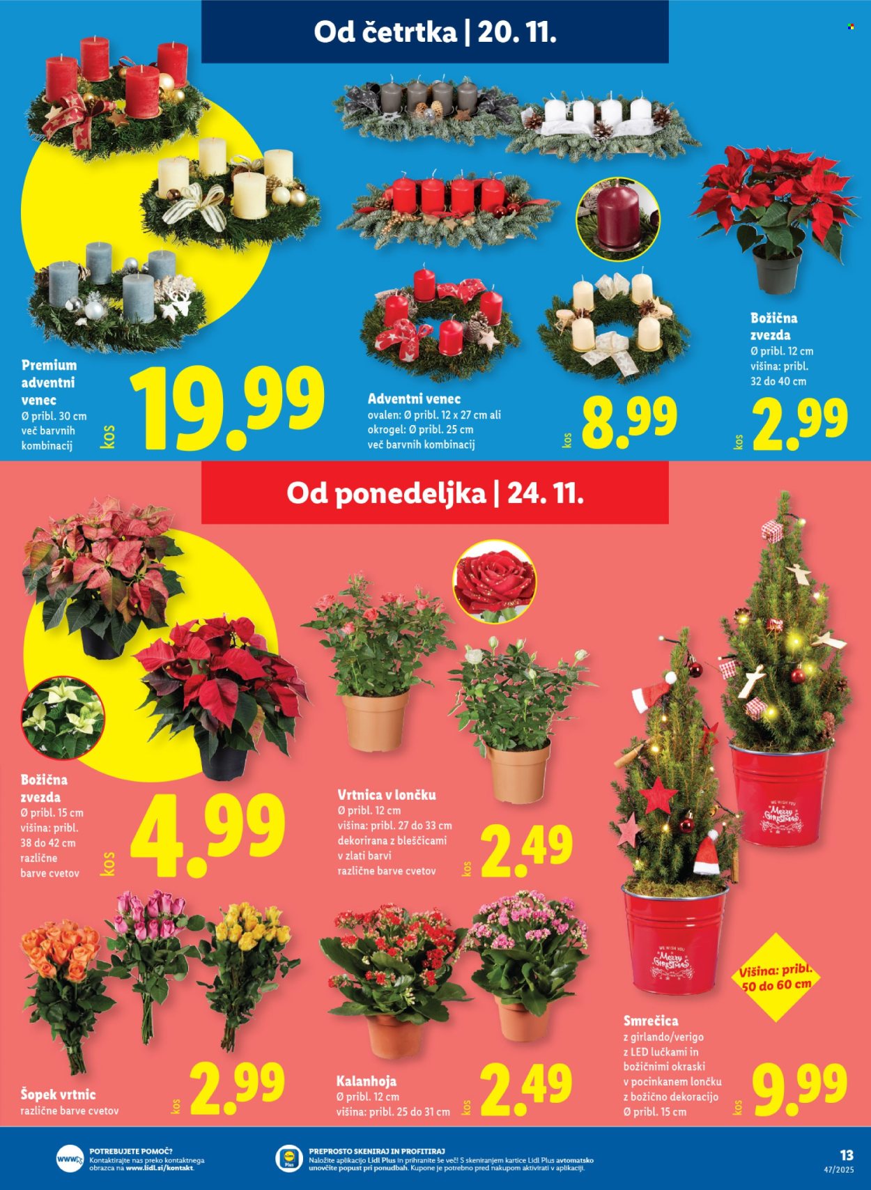 Lidl katalog - 20.11.2025 - 29.11.2025. Stran 17