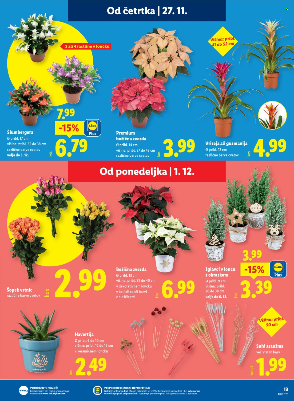 Lidl katalog - 27.11.2025 - 3.12.2025. Stran 19