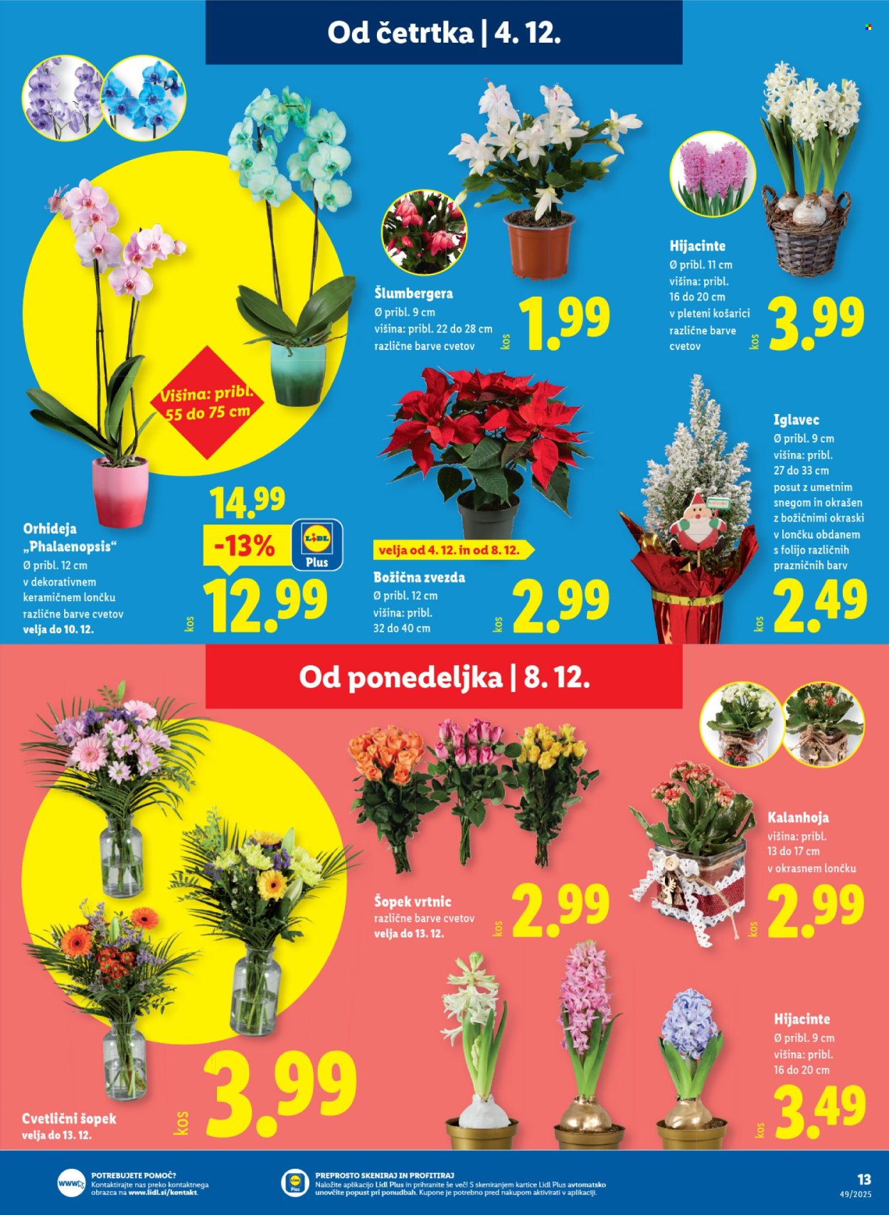 Lidl katalog - 4.12.2025 - 10.12.2025. Stran 23