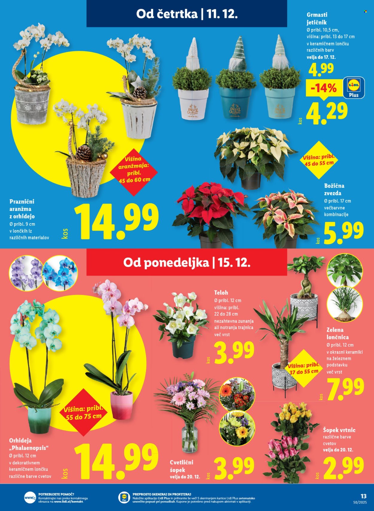 Lidl katalog - 11.12.2025 - 17.12.2025. Stran 21