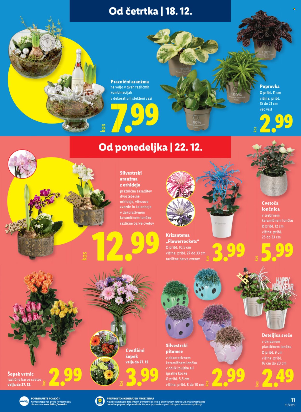 Lidl katalog - 18.12.2025 - 24.12.2025. Stran 19